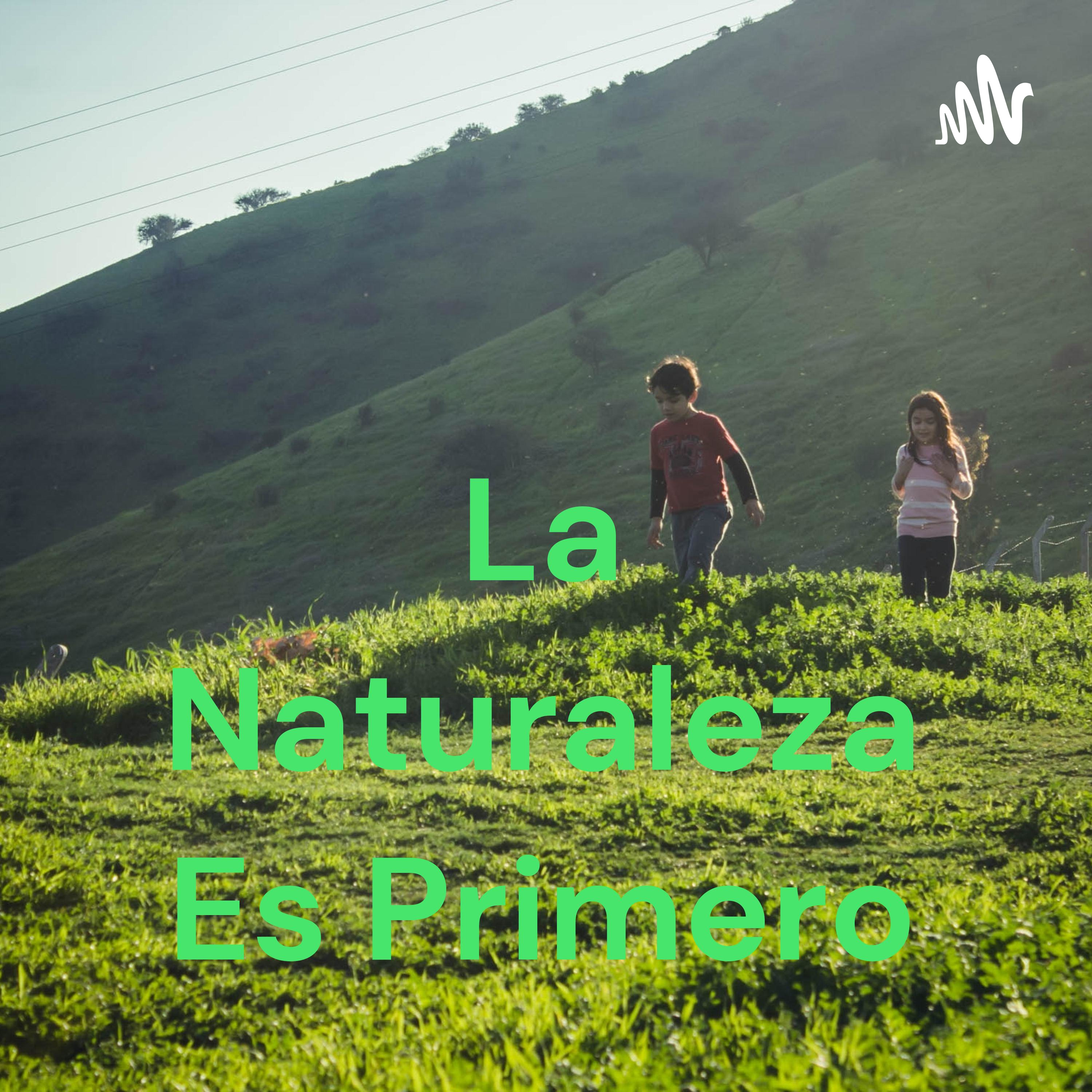 La Naturaleza Es Primero