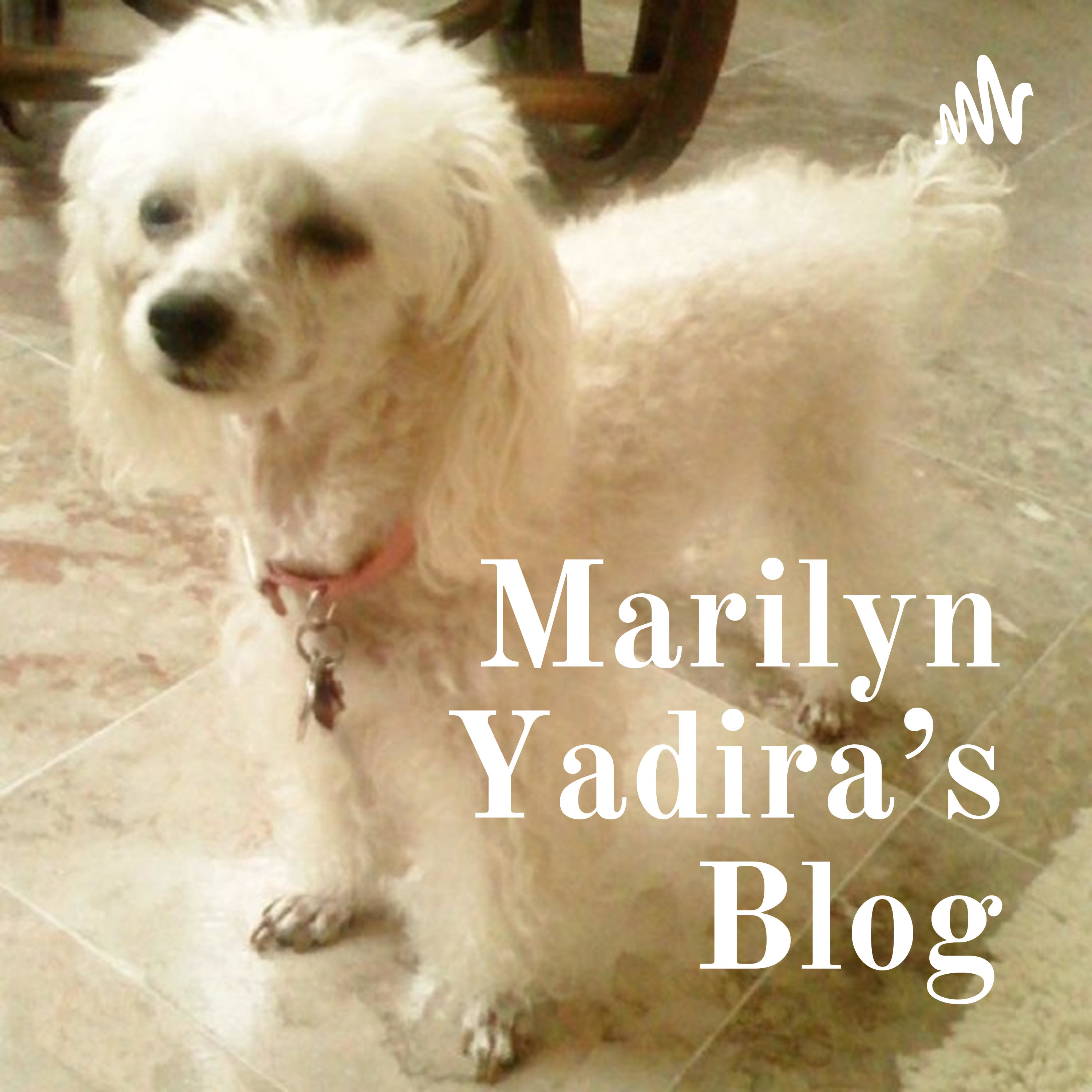 Marilyn Yadira®