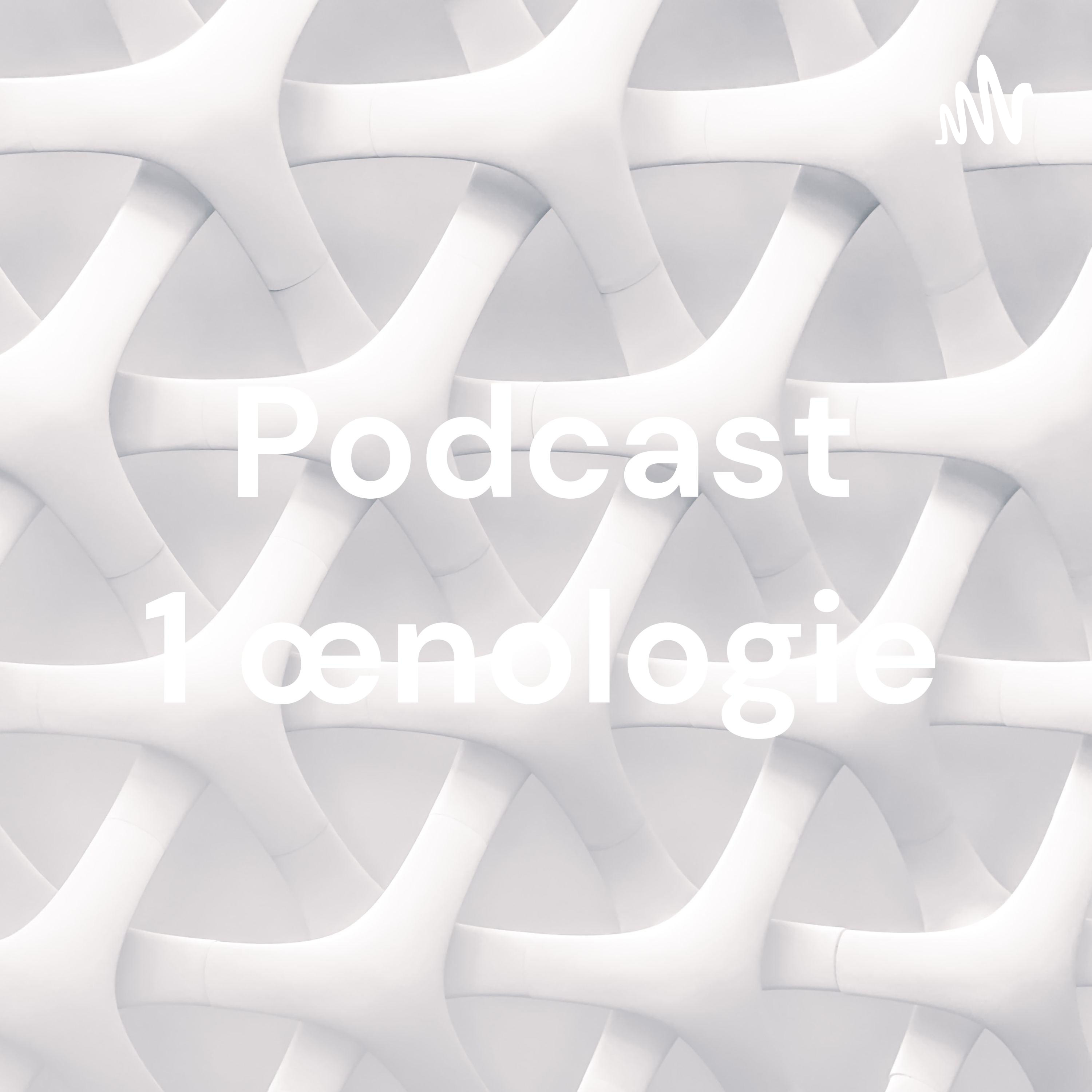 Podcast 1 œnologie