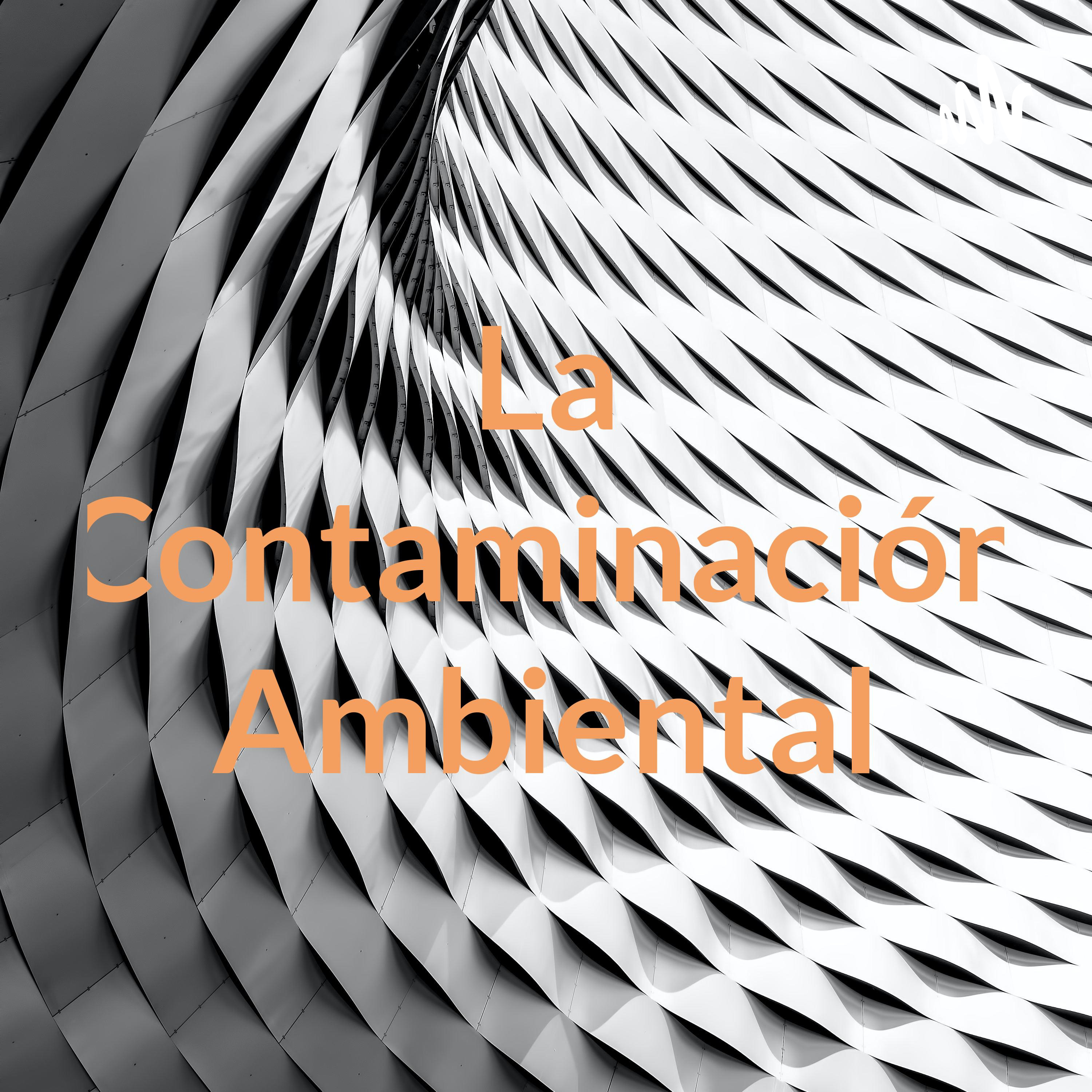 La Contaminación Ambiental