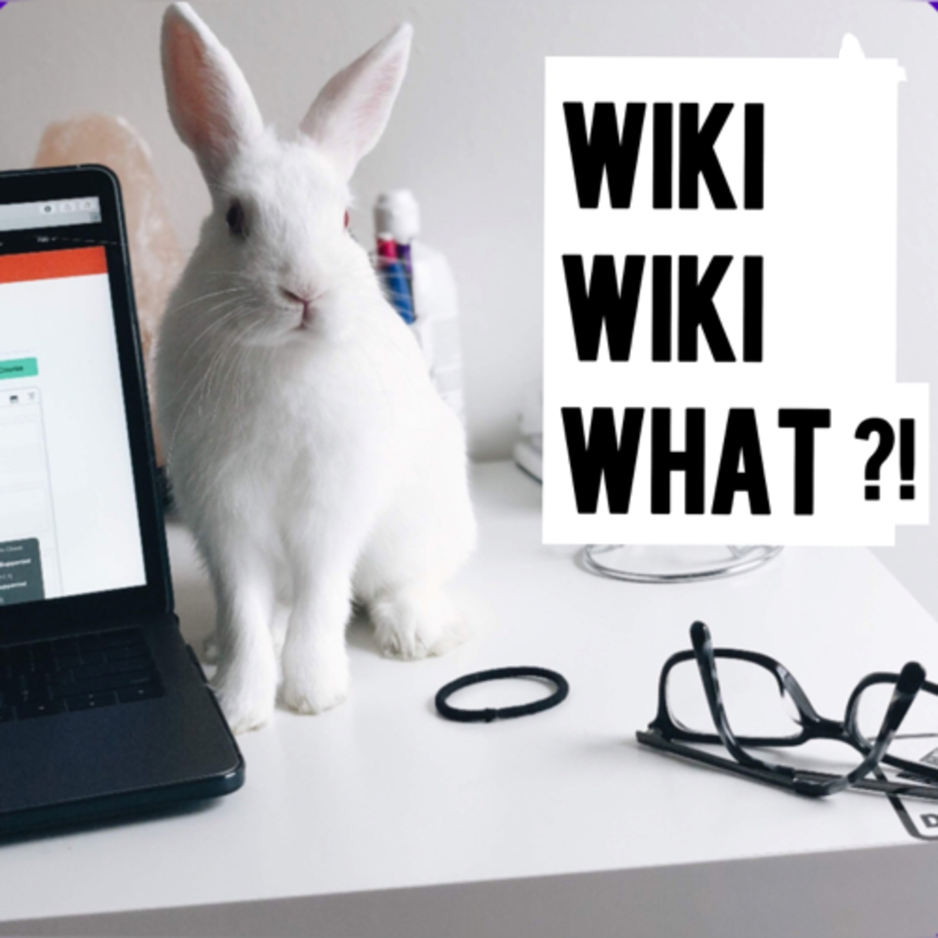 WikiWiki-What!?