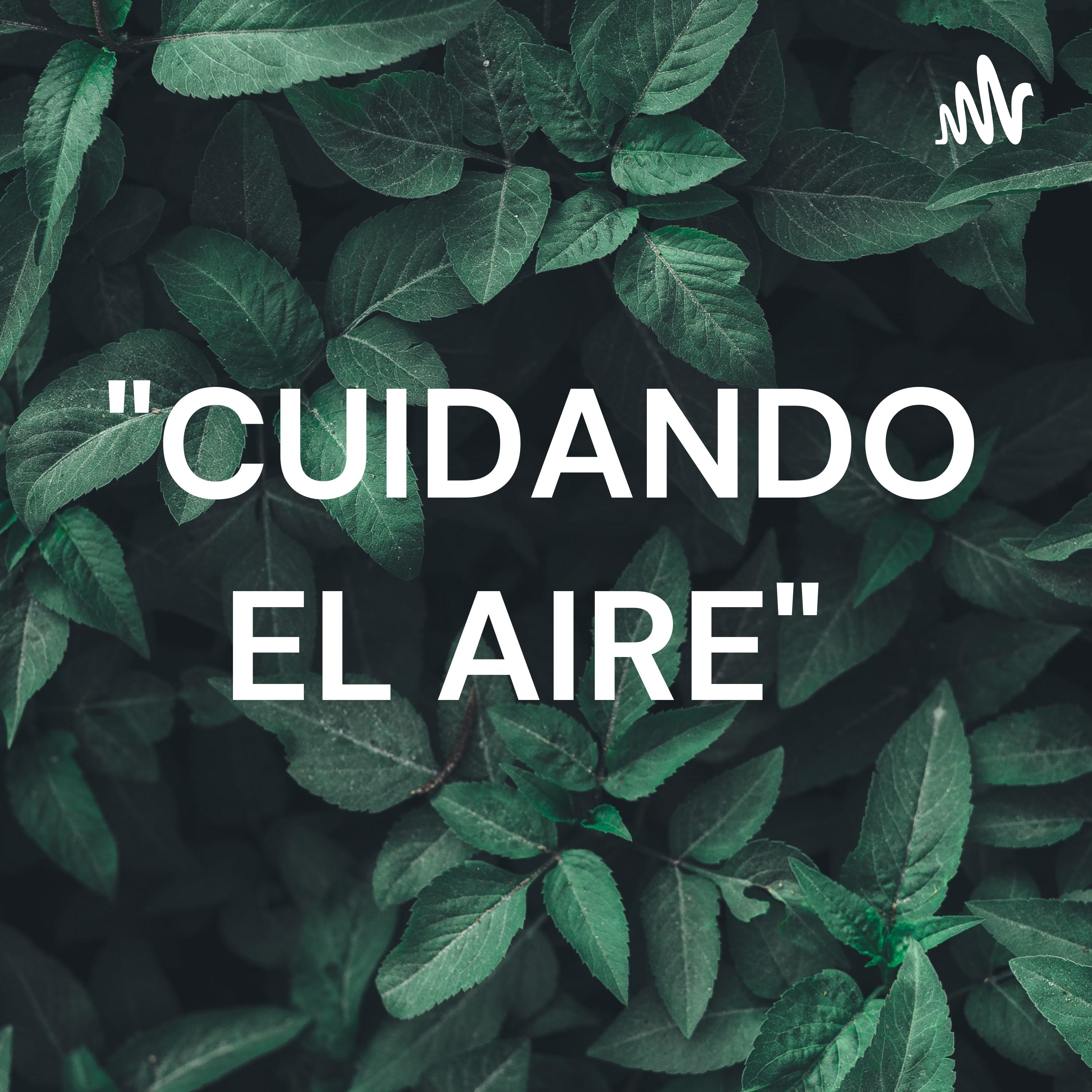 "CUIDANDO EL AIRE"