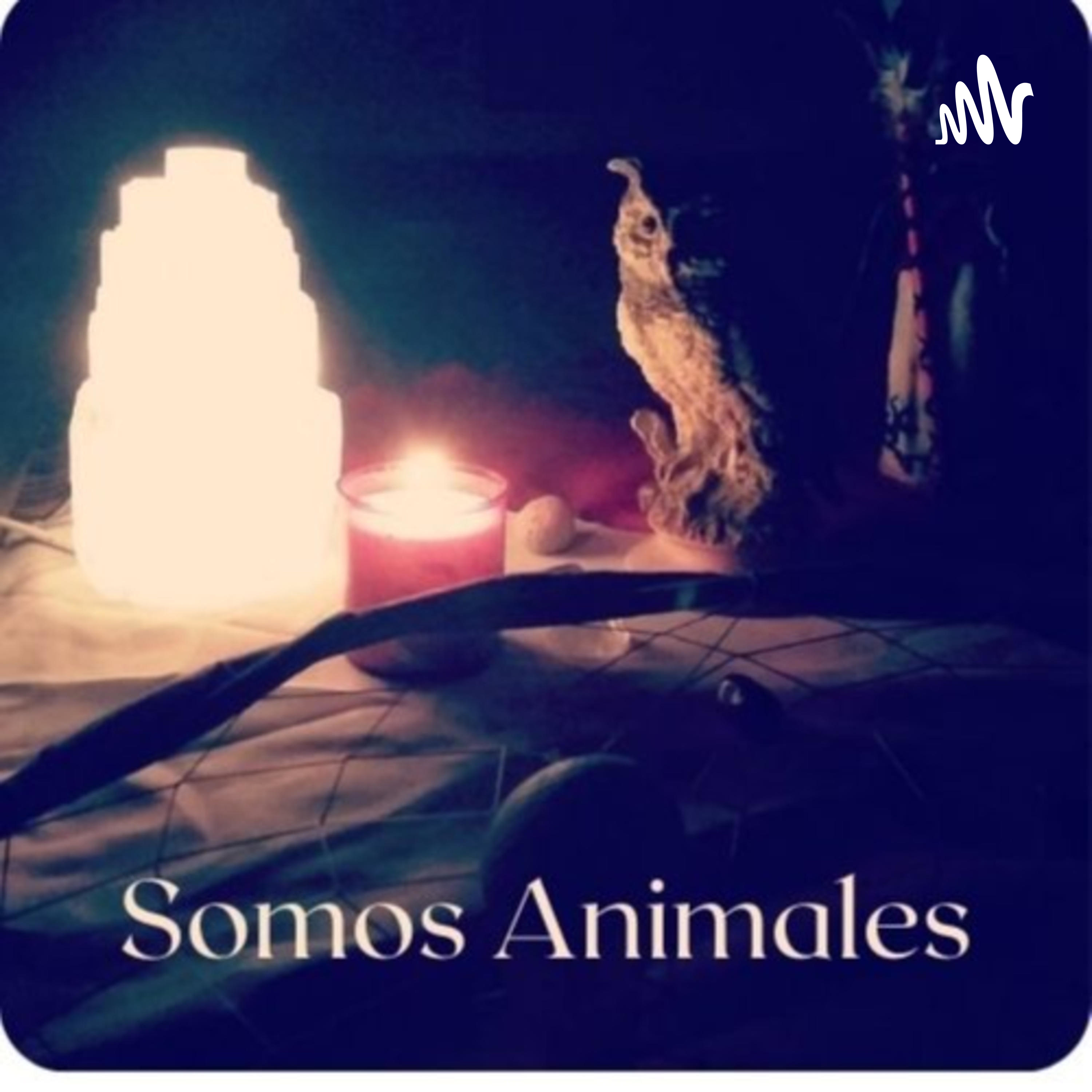 SOMOS ANIMALES podcast artwork