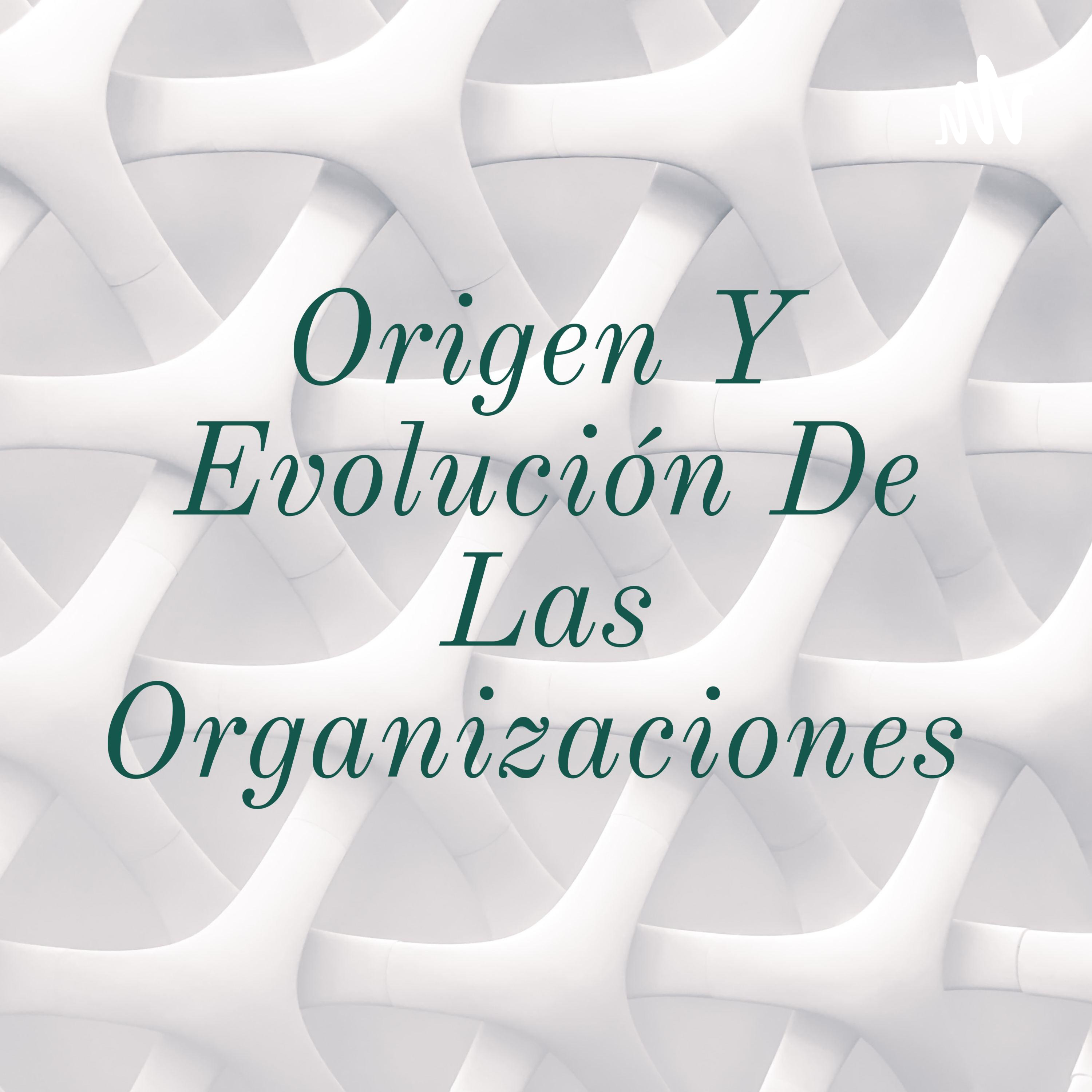 Origen Y Evolución De Las Organizaciones