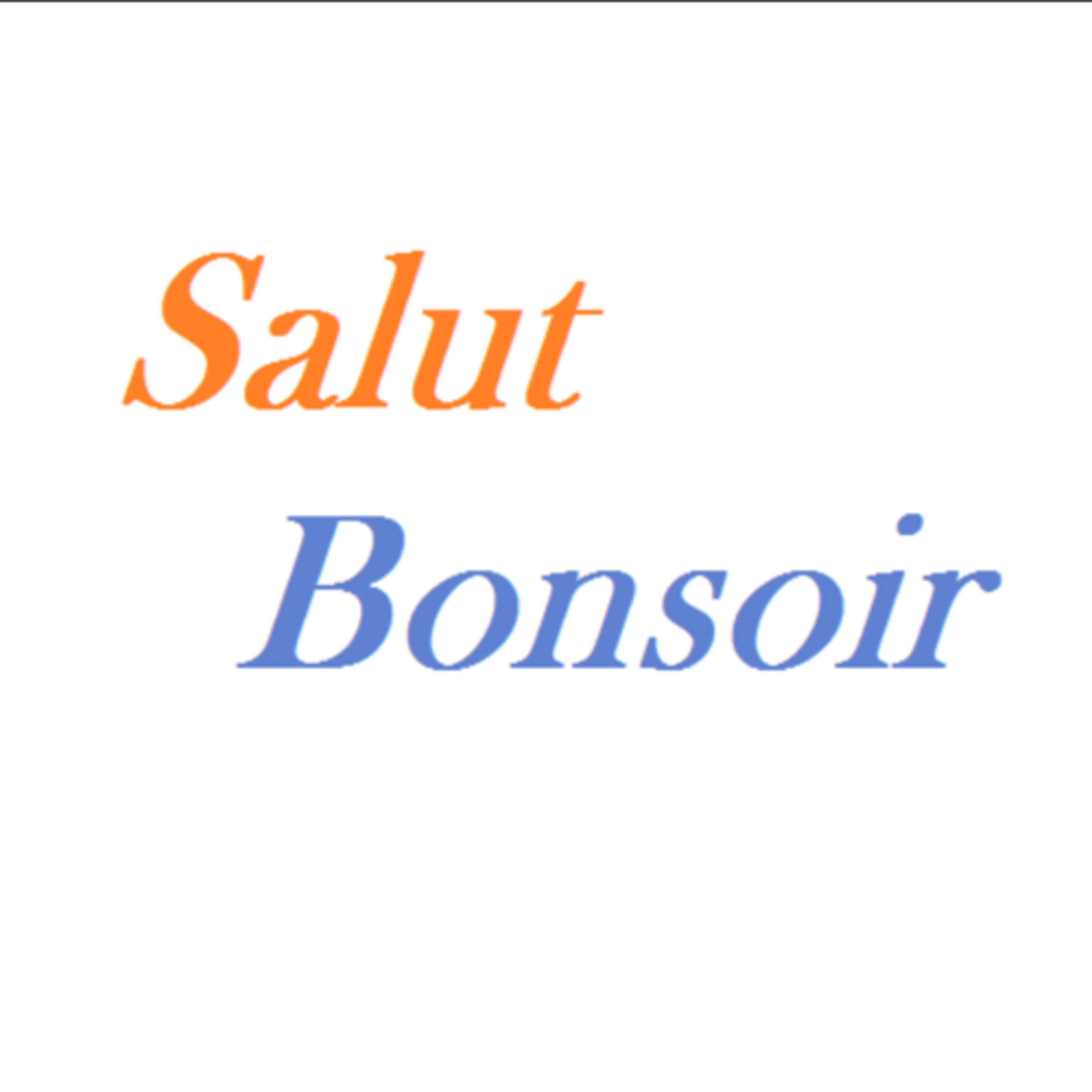 Salut bonsoir épisode 1 l’environnement 