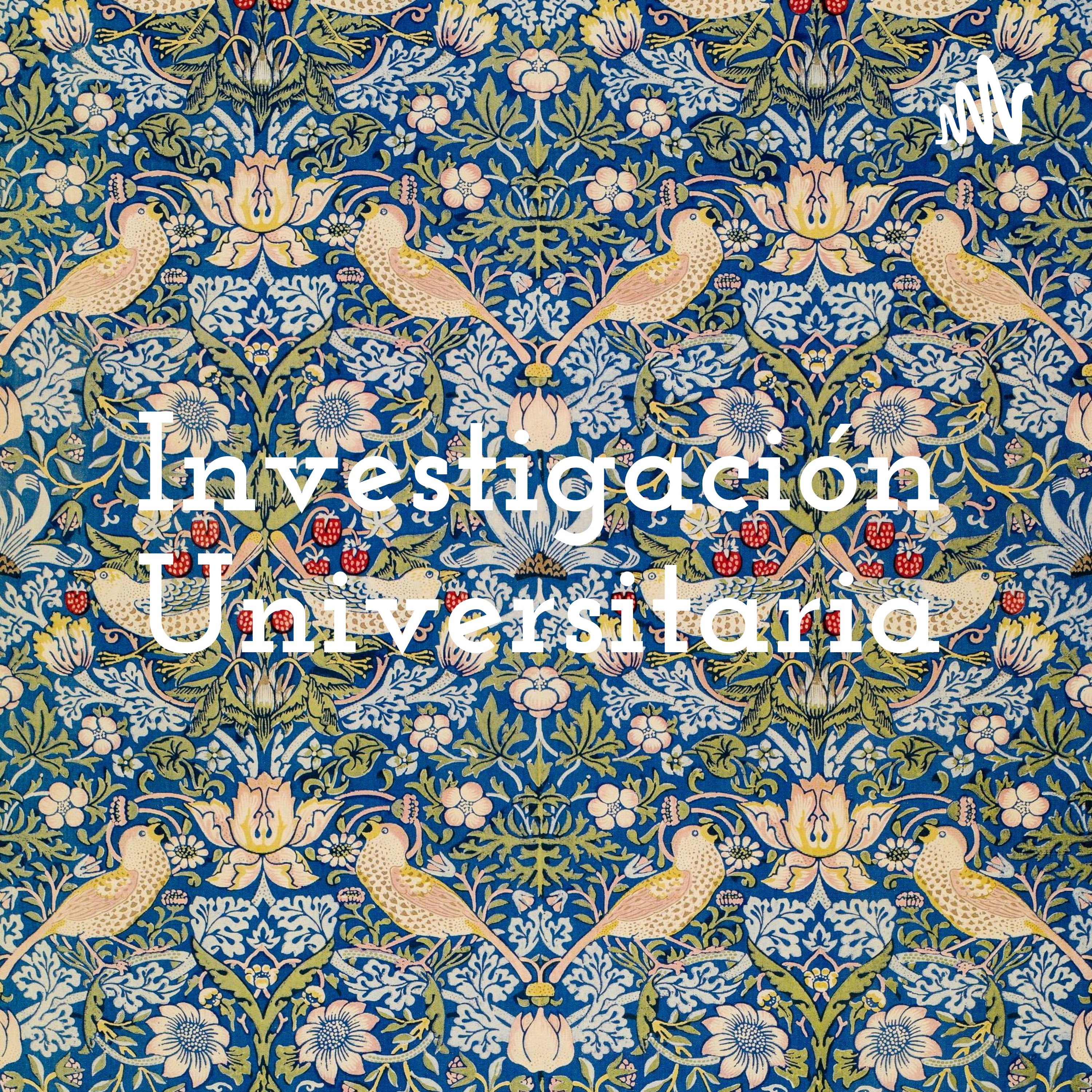 Investigación Universitaria podcast artwork