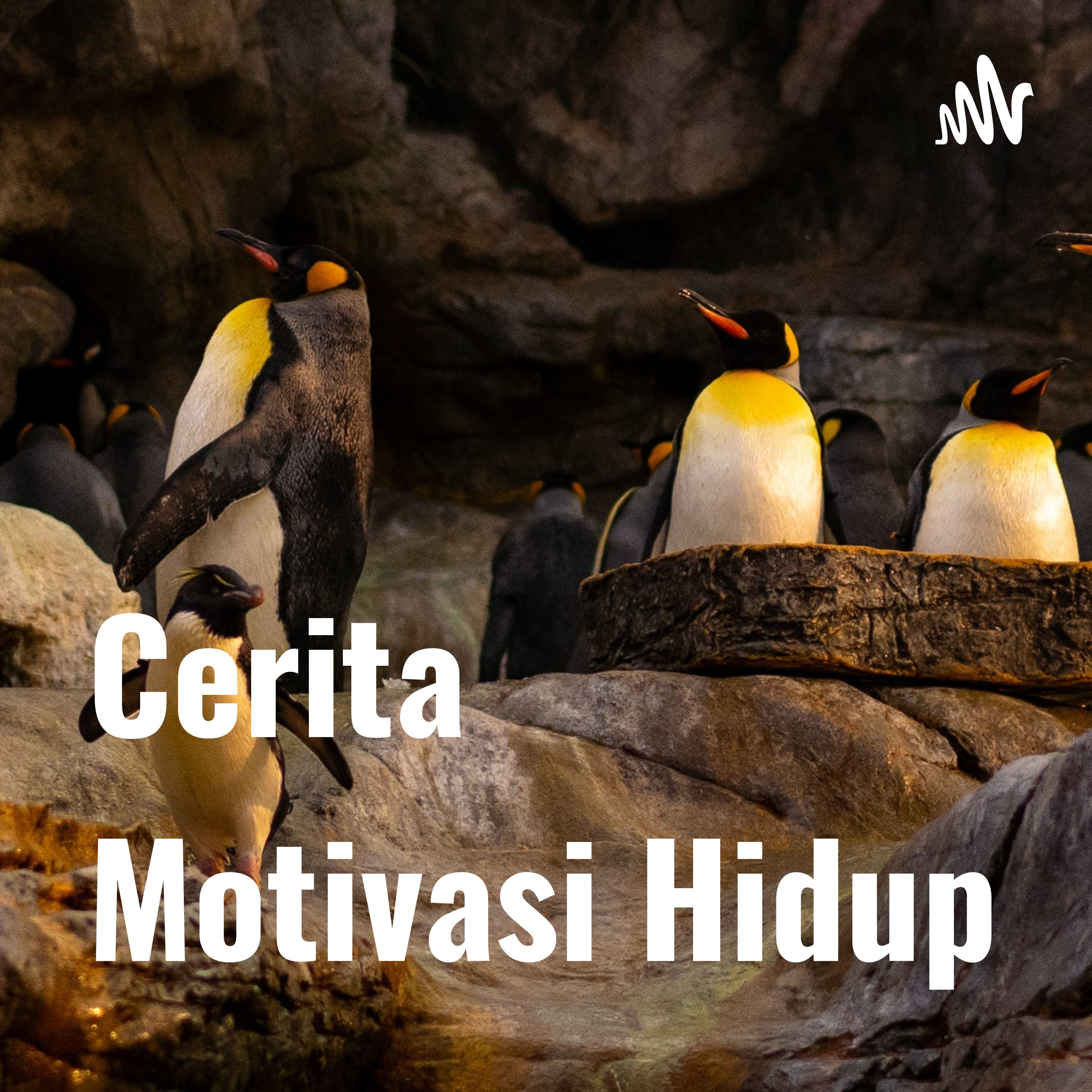Cerita Motivasi Hidup