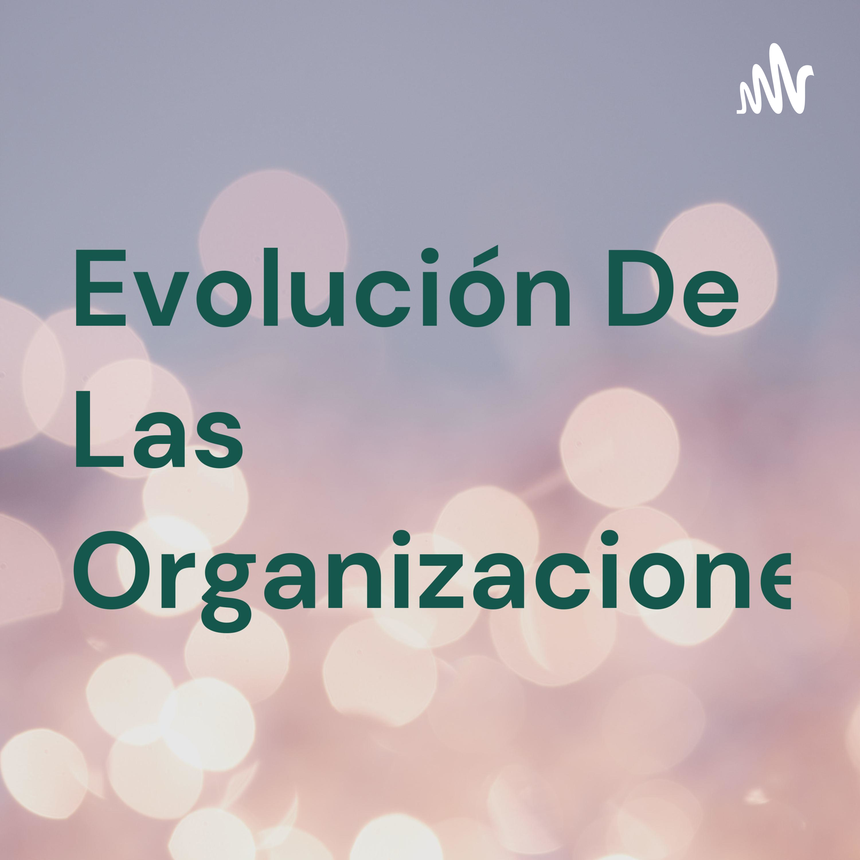 Evolución De Las Organizaciones