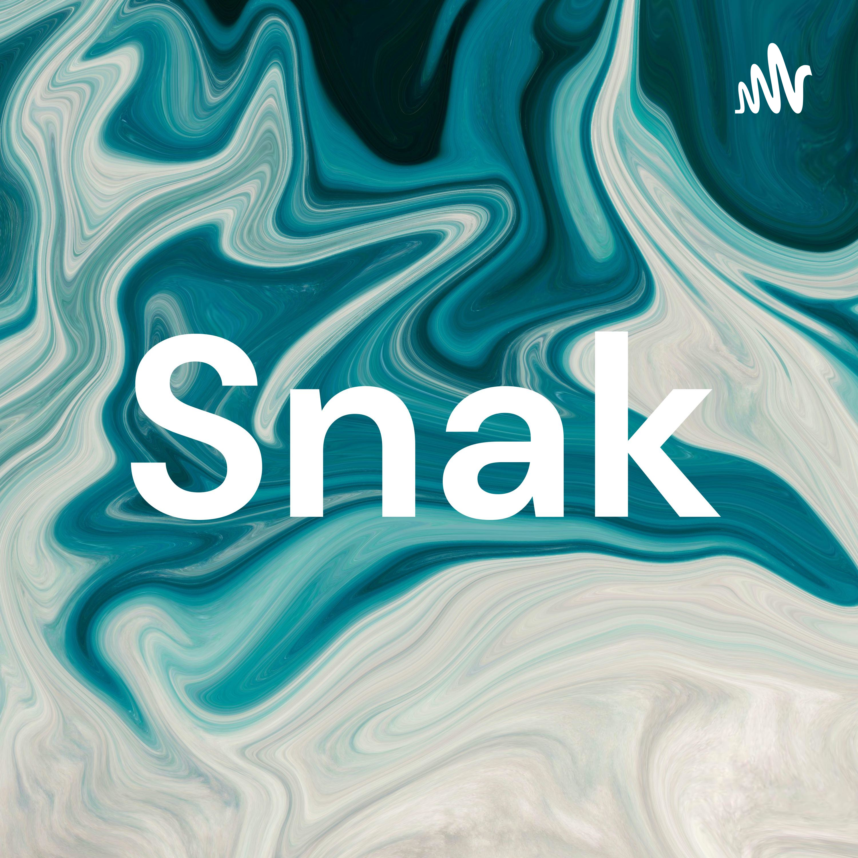 Snak af niels Bødkeerholm