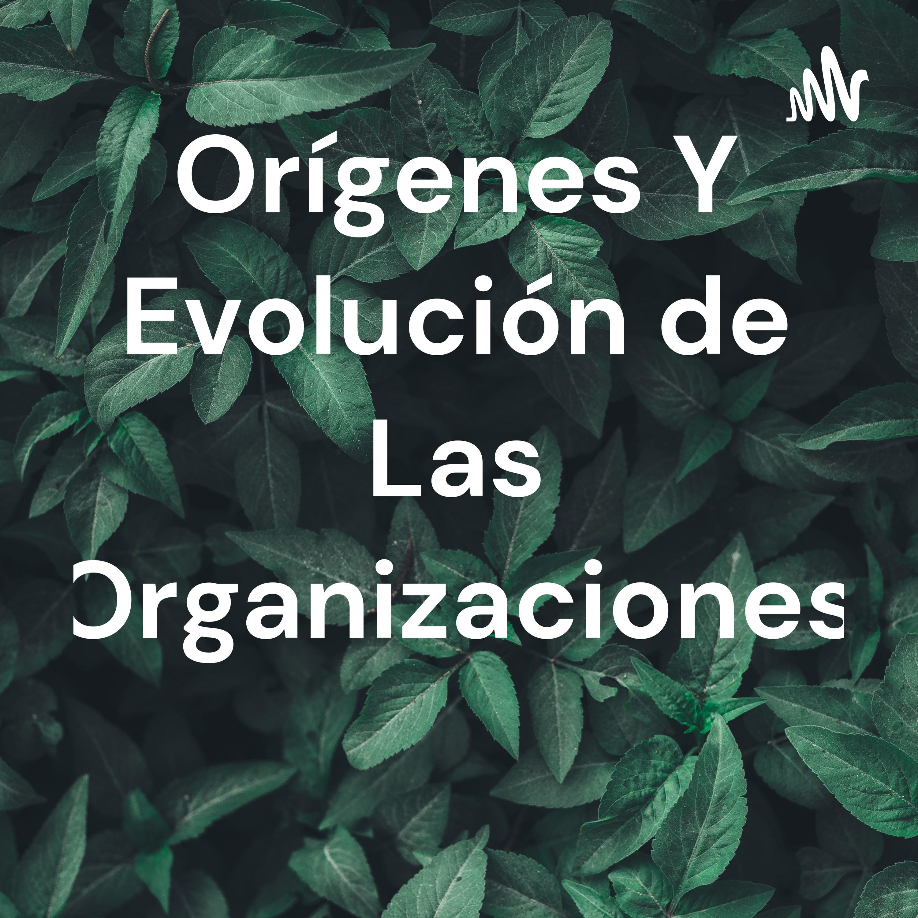 Origen y evolución de las organizaciones  episode artwork