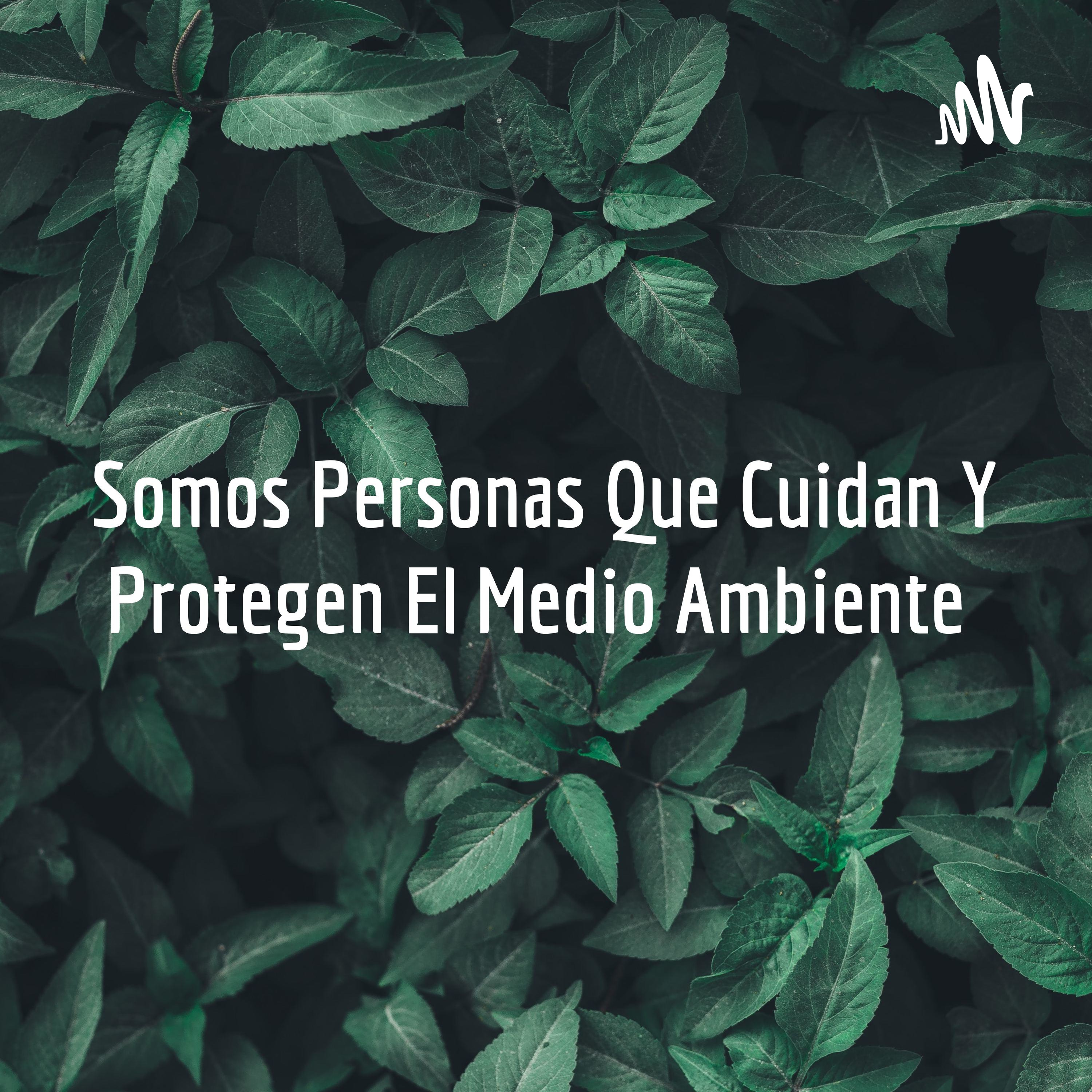 Somos Personas Que Cuidan Y Protegen El Medio Ambiente 🍃