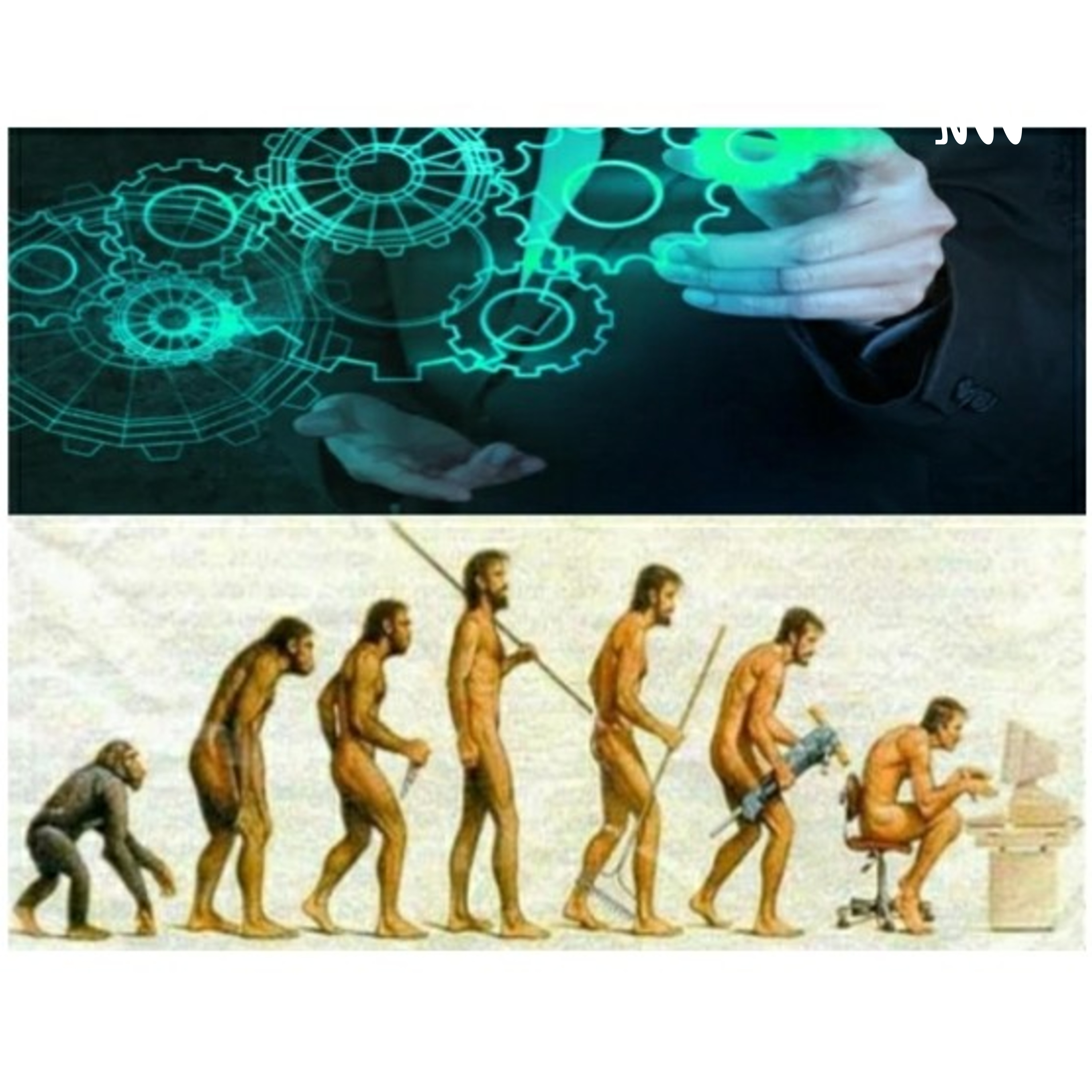 "ORÍGENES Y EVOLUCIÓN DE LAS ORGANIZACIONES".