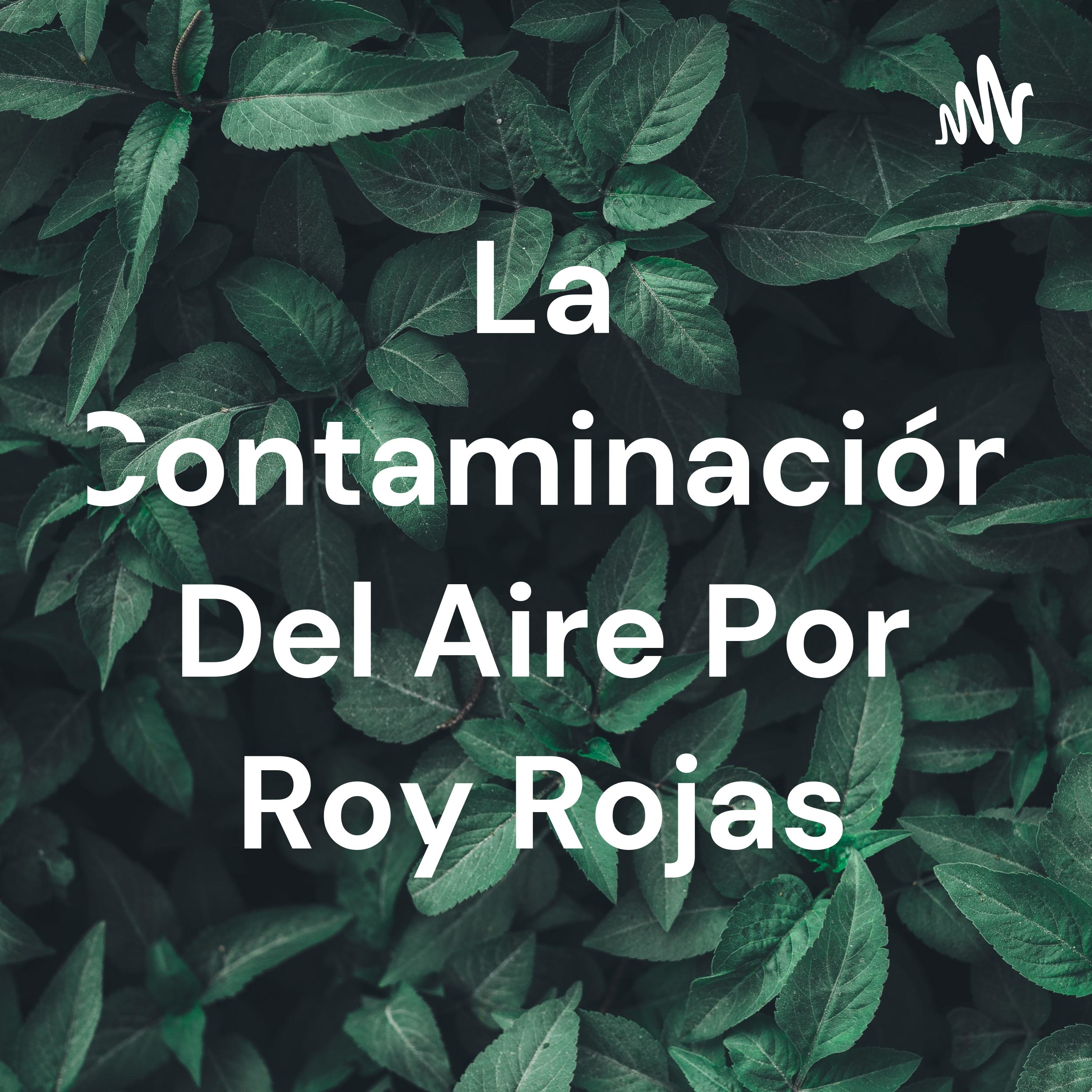 La Contaminación Del Aire Por Roy Rojas