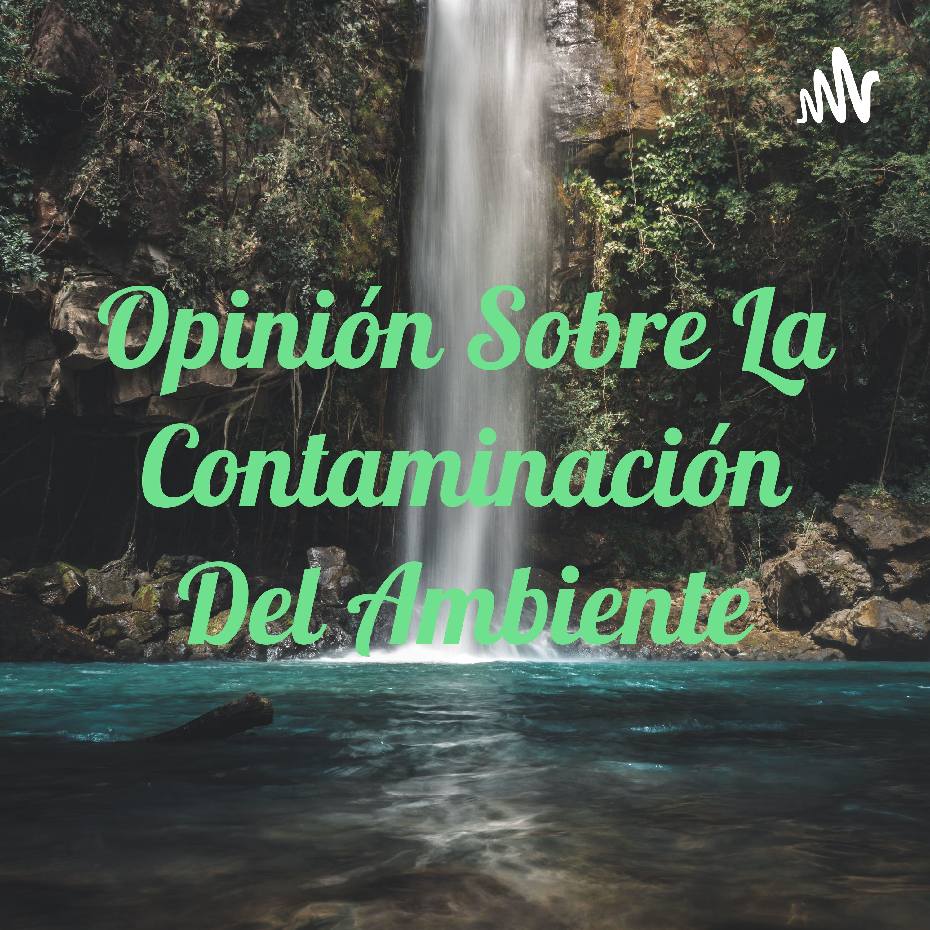 Reflexión Sobre La Contaminación Del Ambiente