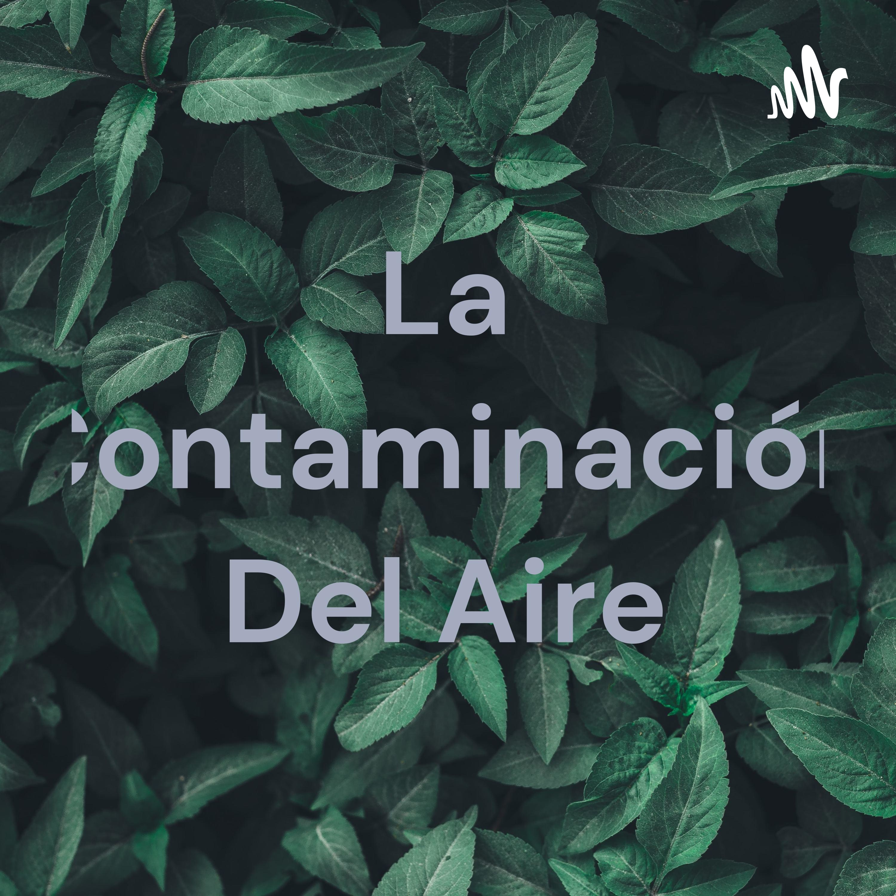 La Contaminación Del Aire