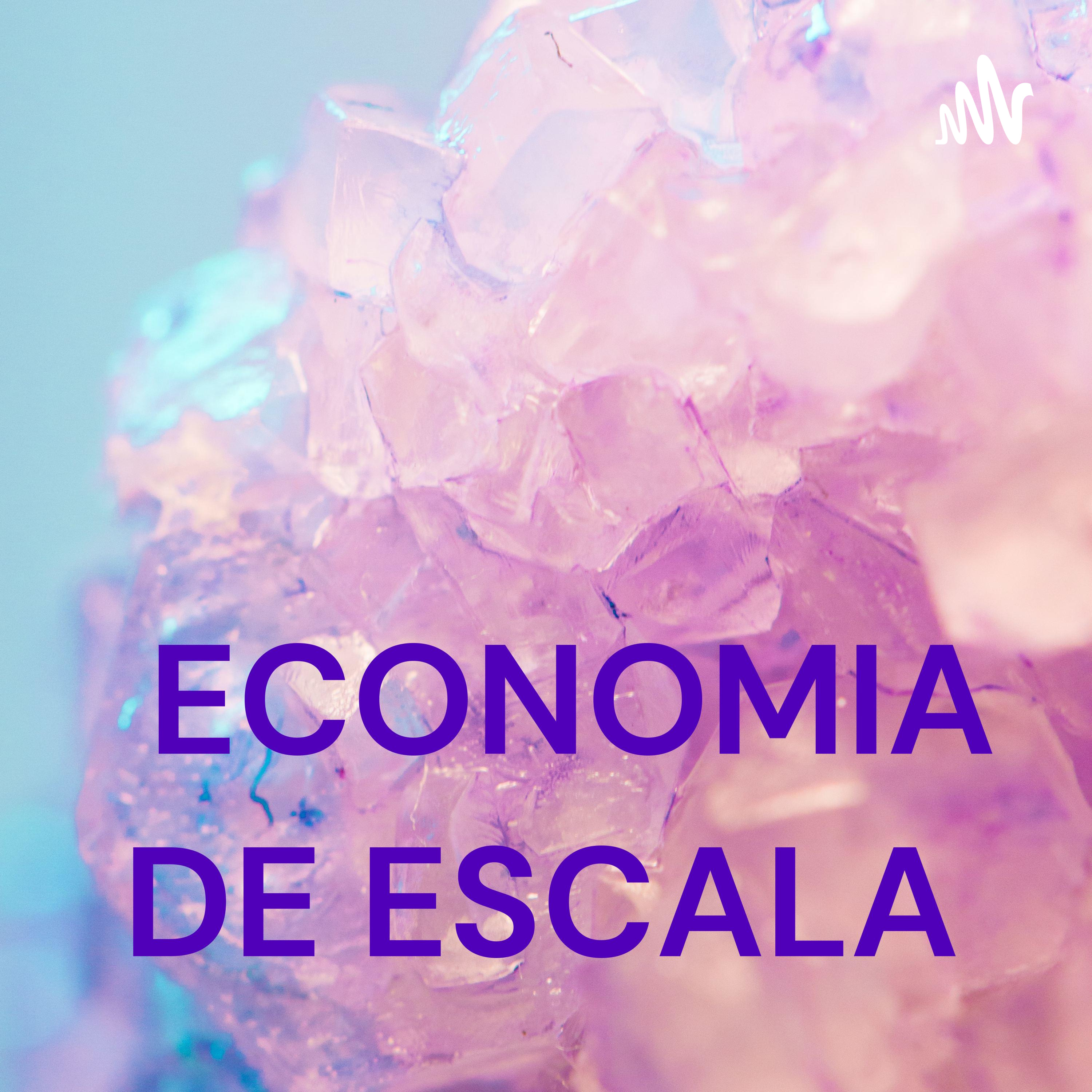 ECONOMIA DE ESCALA