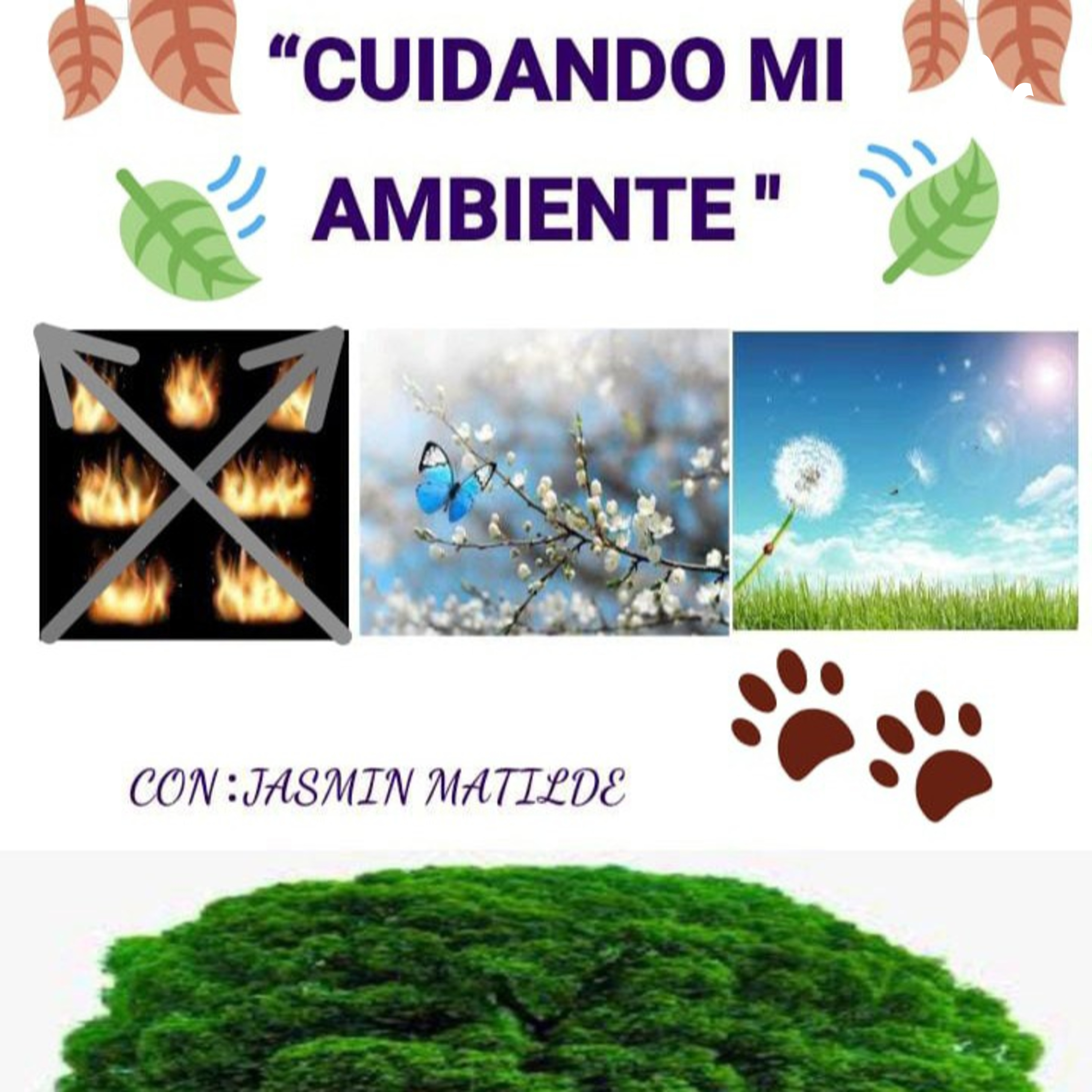 "Cuidando Mi Ambiente" Podcast podcast artwork