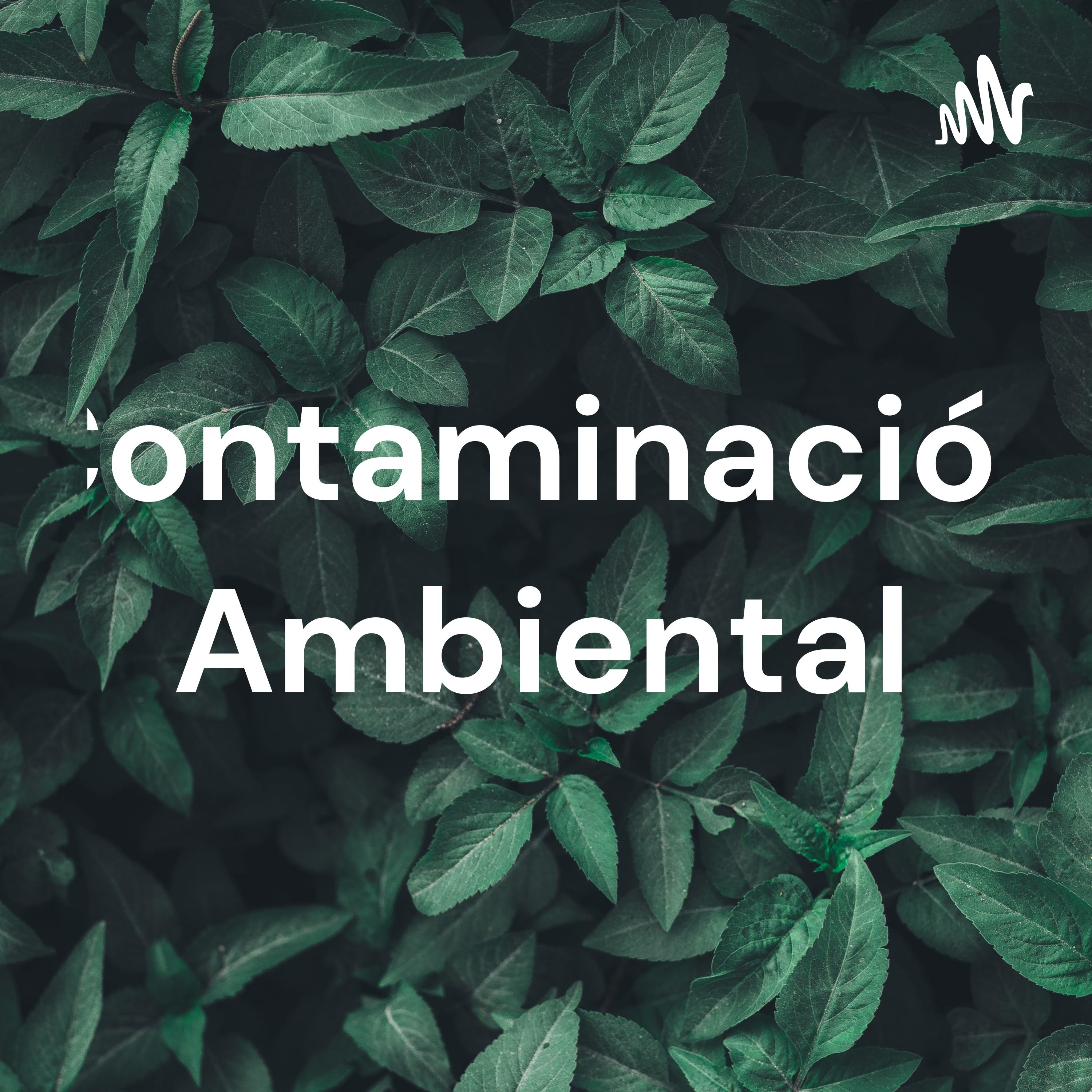 Contaminación Ambiental