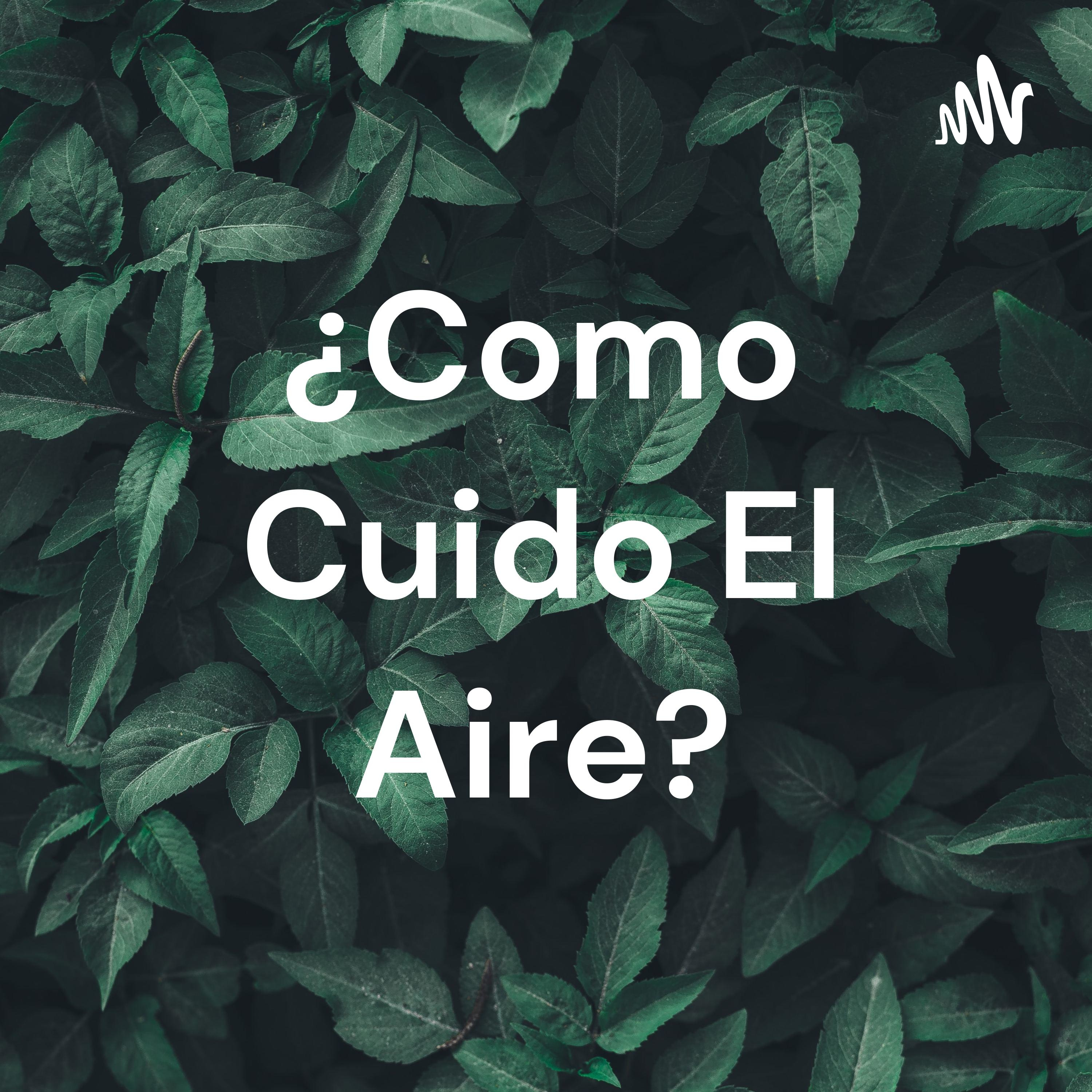 ¿Como Cuido El Aire?