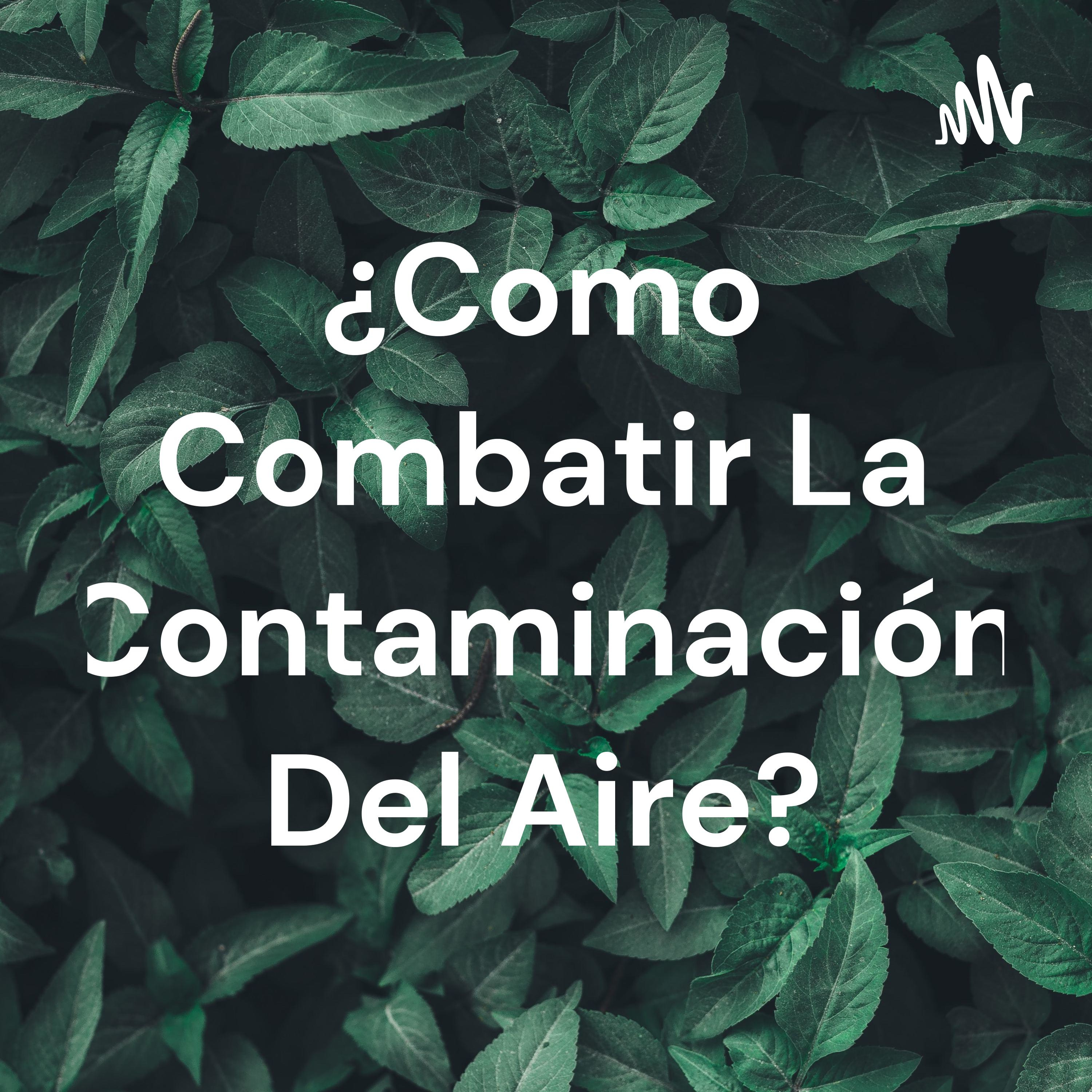 ¿Como Combatir La Contaminación Del Aire?