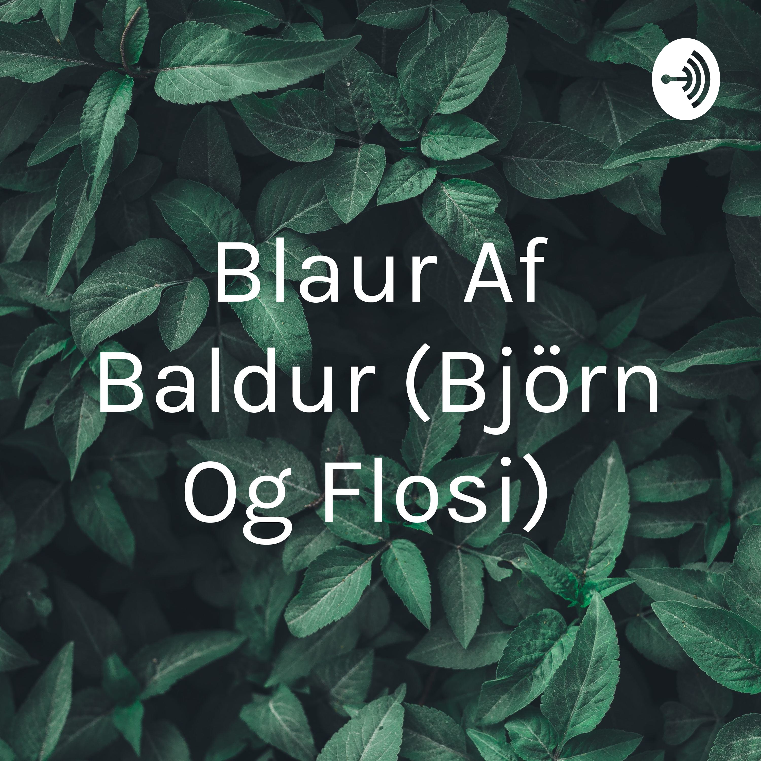 Blaður Af Baldur (Björn Og Flosi)