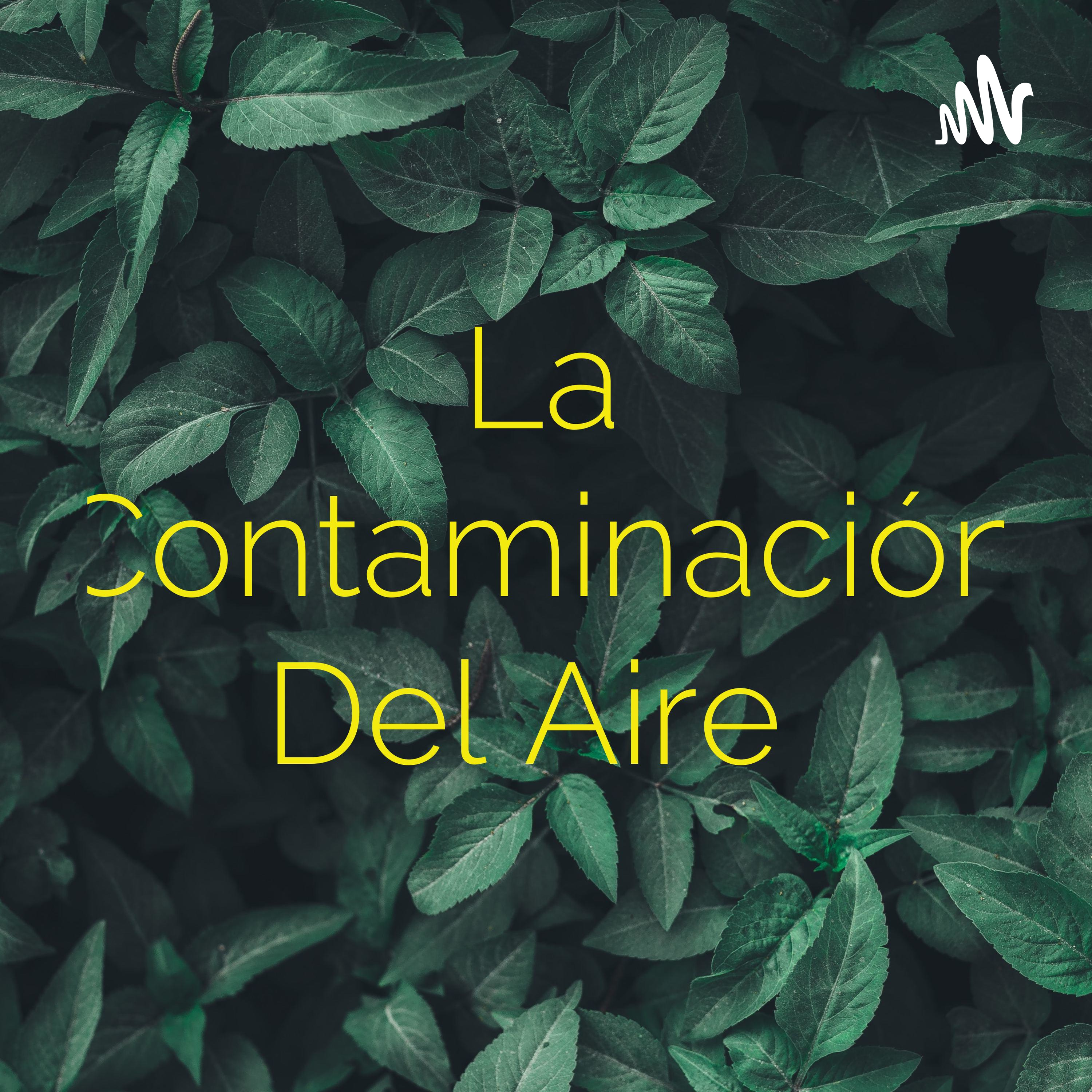 La Contaminación Del Aire