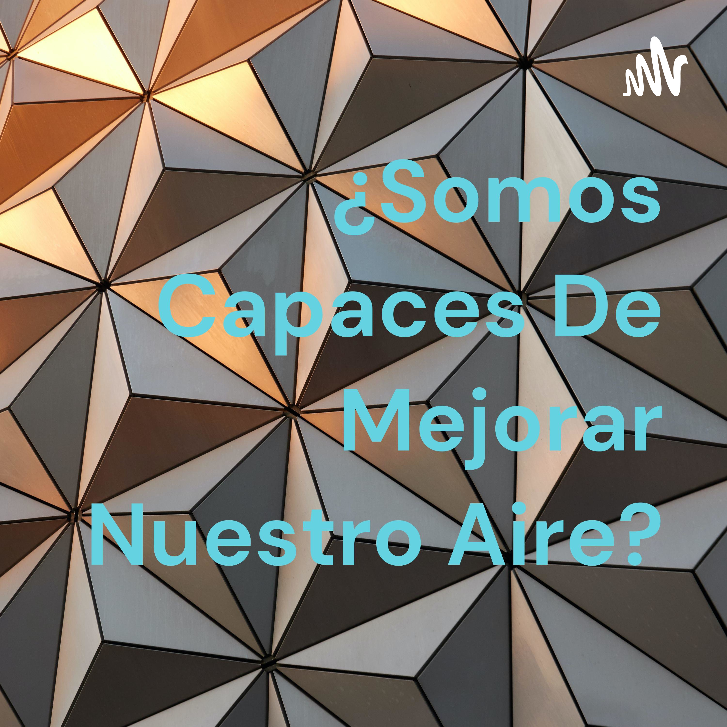 ¿Somos Capaces De Mejorar Nuestro Aire?