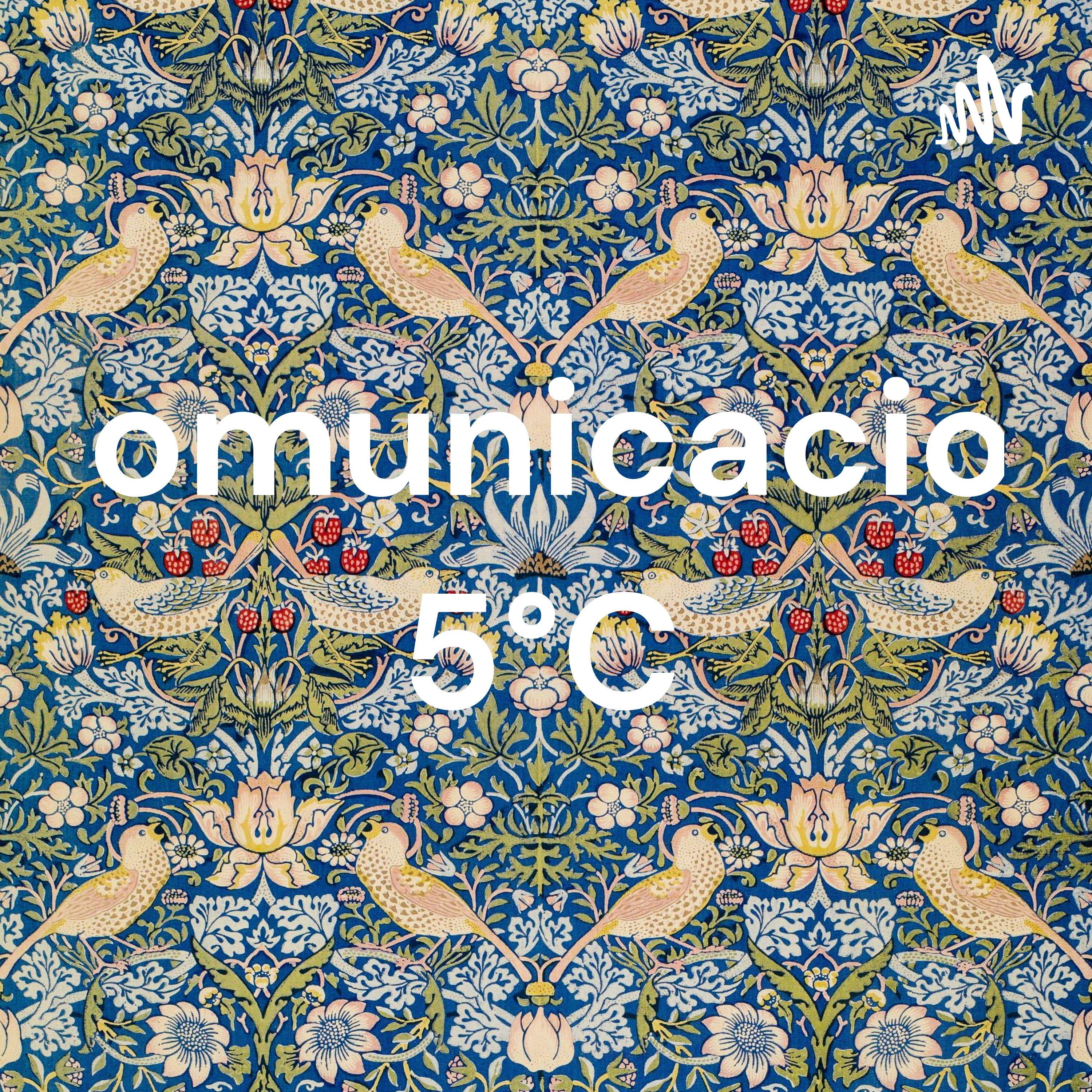Comunicacion 5°C