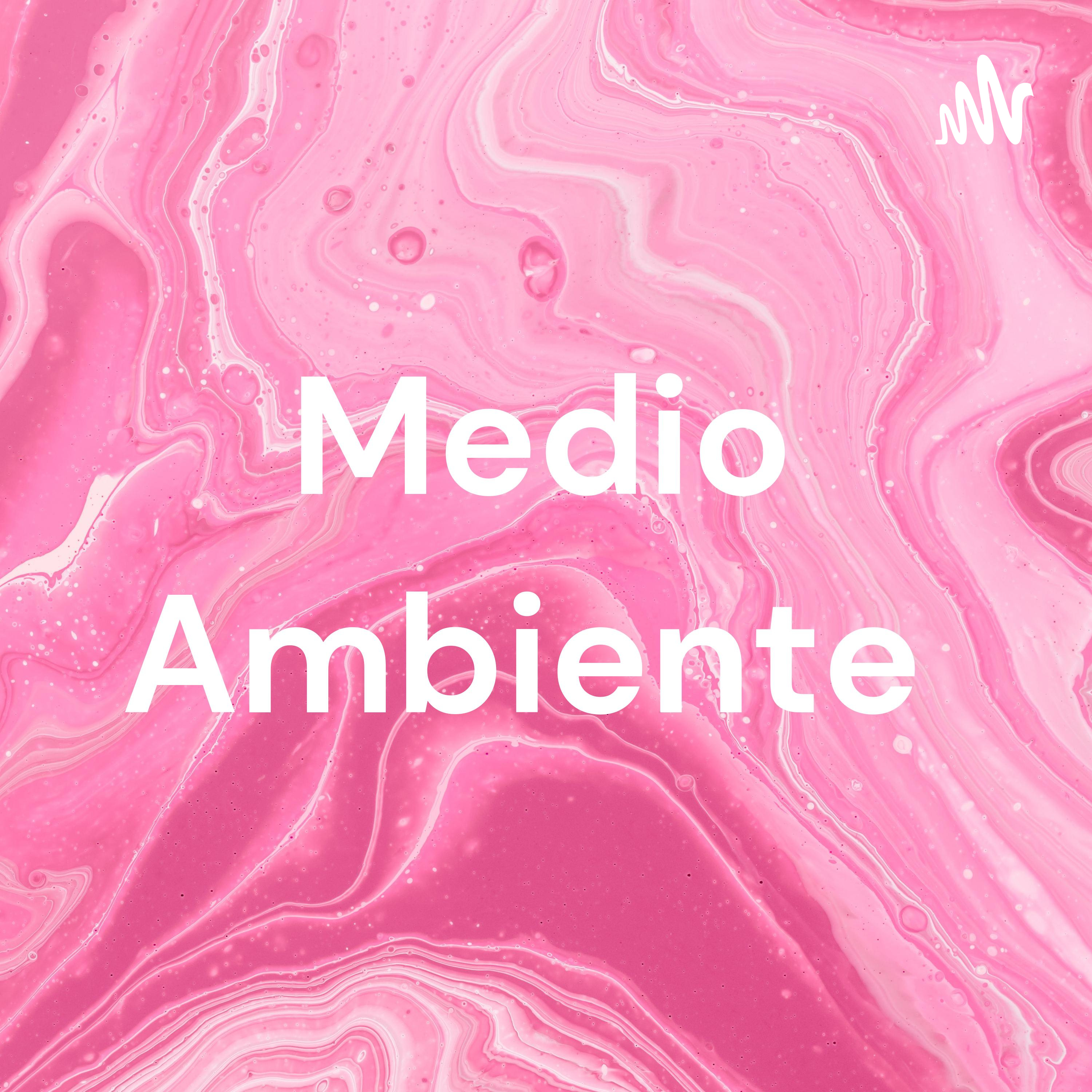 Medio Ambiente 