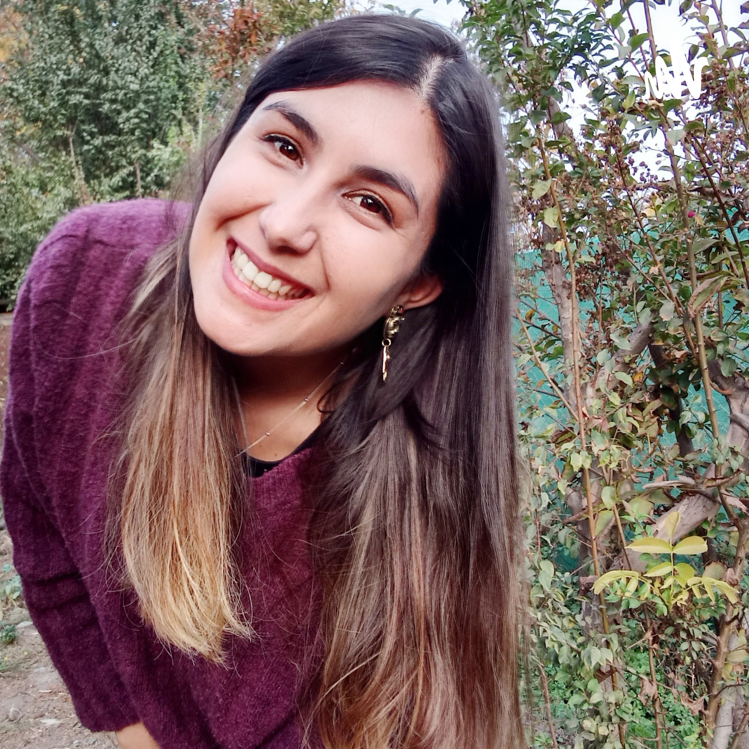 Queridísima venus
