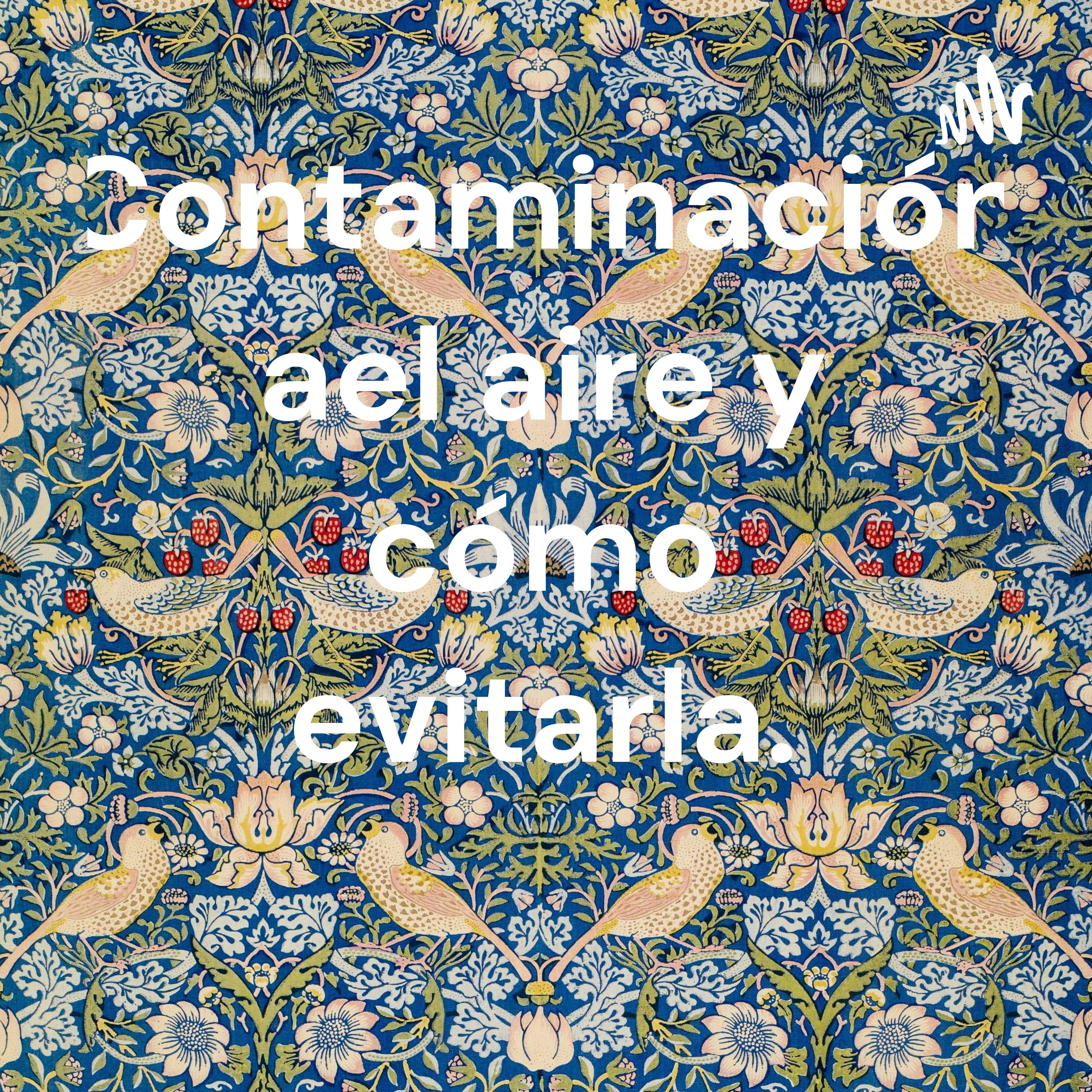 Contaminación ael aire y cómo evitarla.