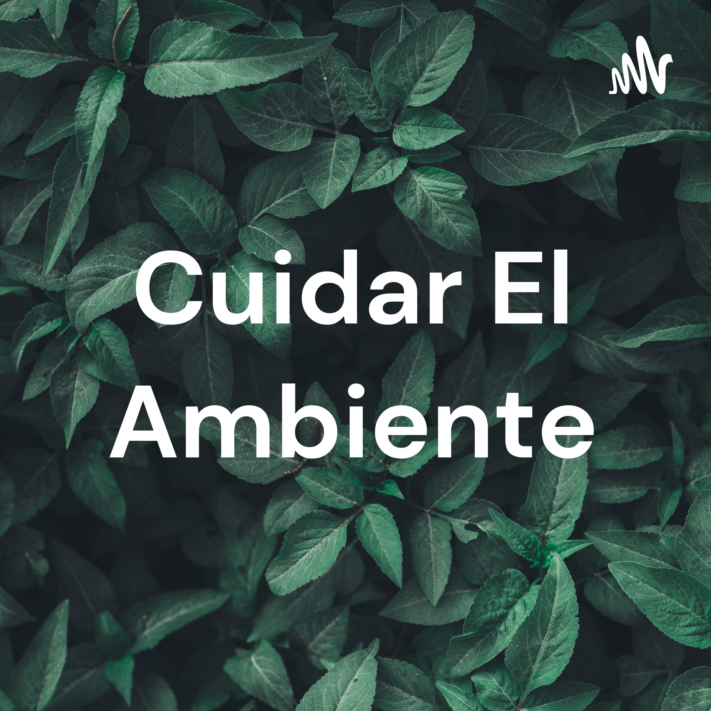 Cuidar El Ambiente