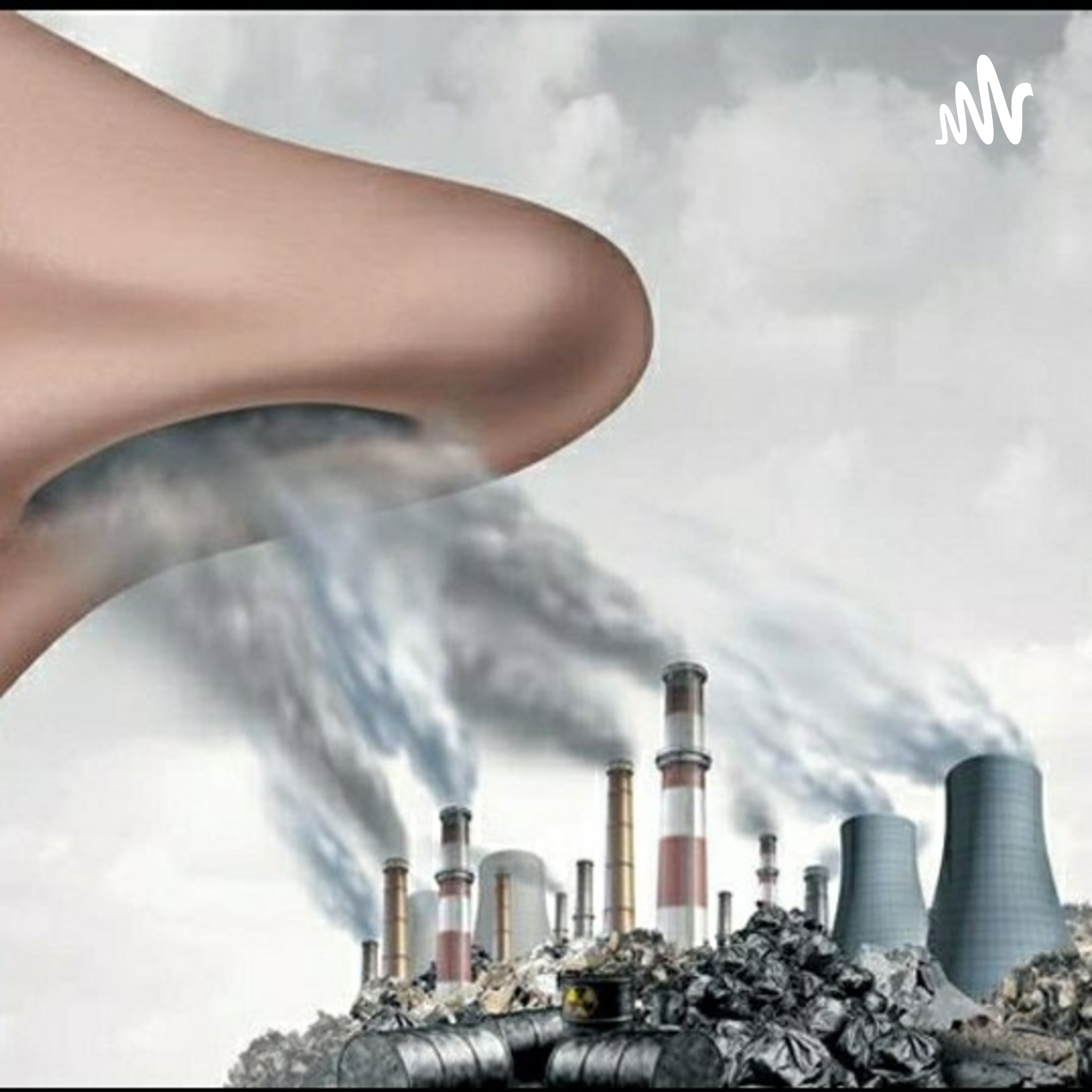 LA CONTAMINACION DEL AIRE Y EL DAÑO QUE CAUSA A NUESTRO SISTEMA RESPIRATORIO