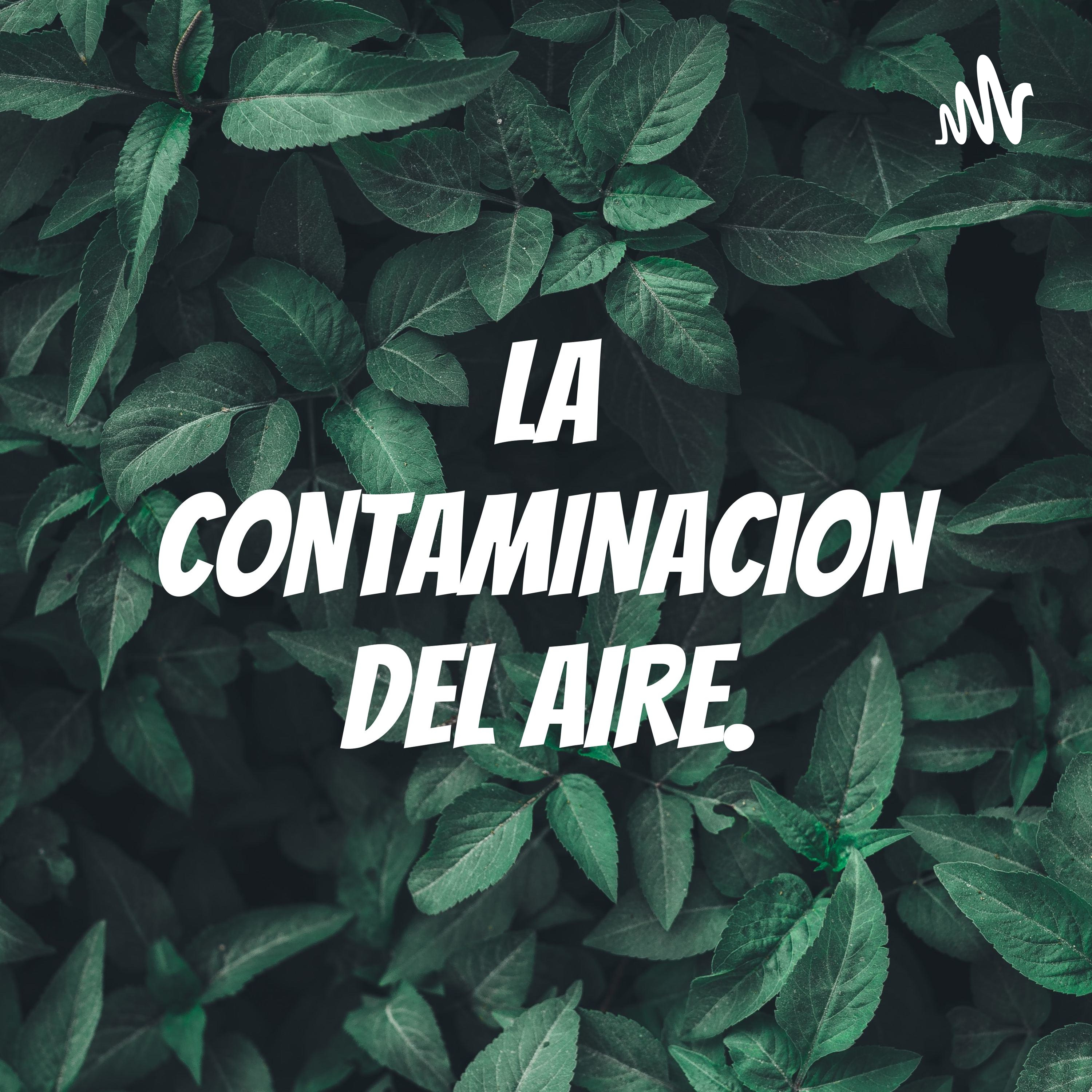 LA CONTAMINACION DEL AIRE.