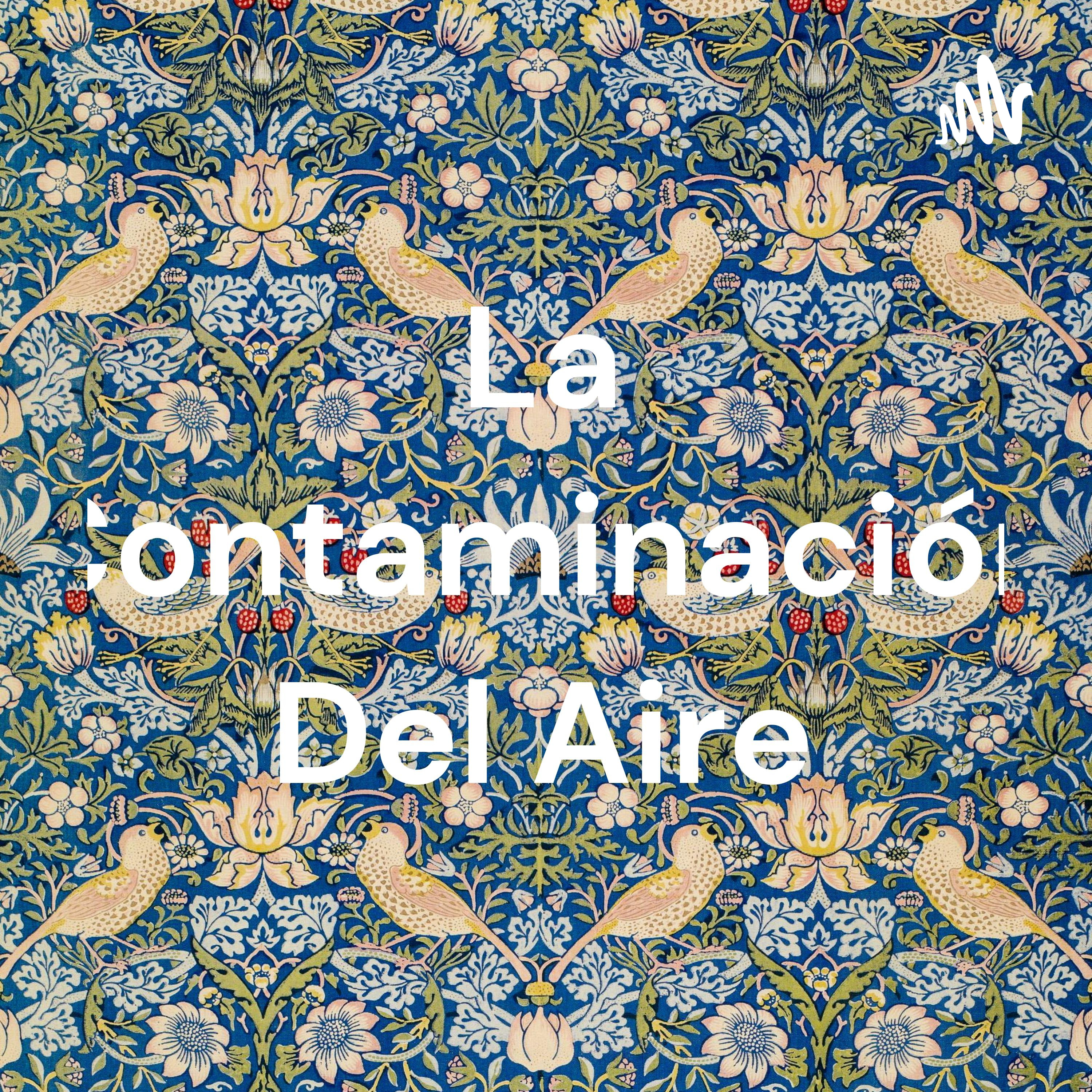 La Contaminación Del Aire