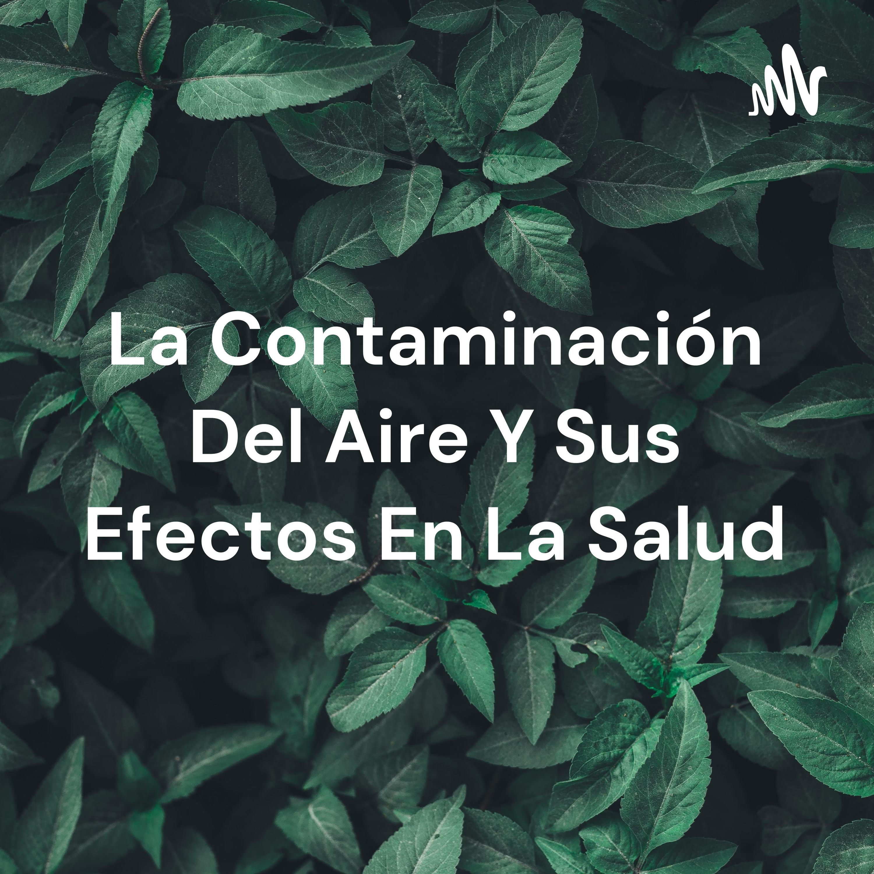 La Contaminación Del Aire Y Sus Efectos En La Salud