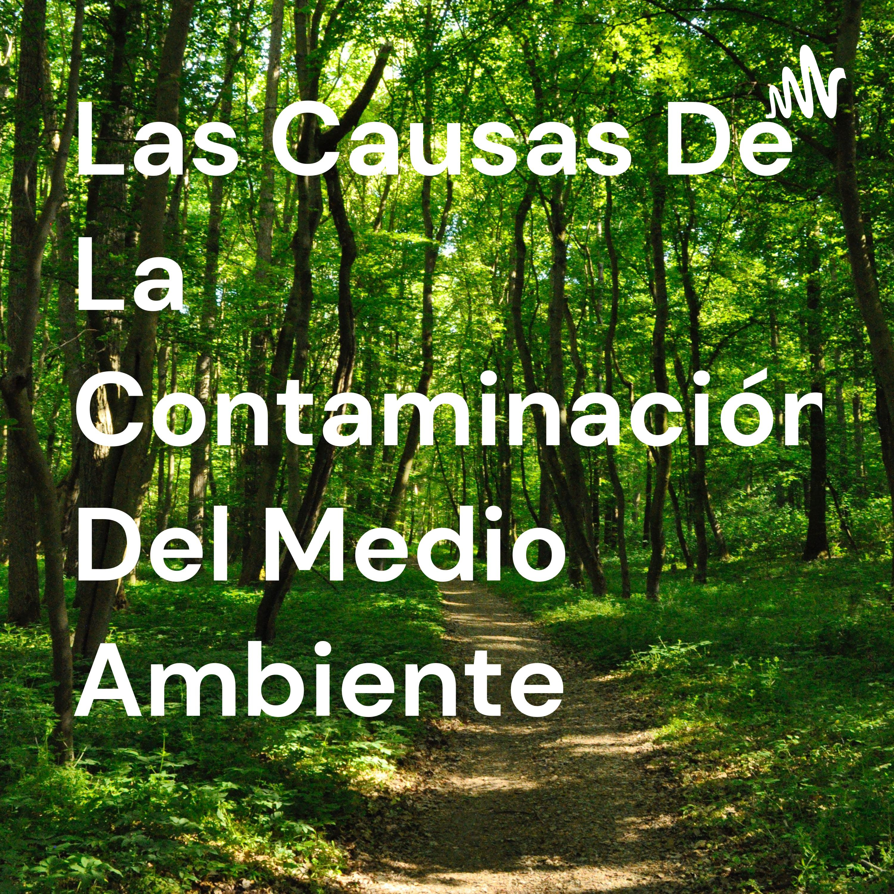 Las Causas De La Contaminación Del Medio Ambiente 