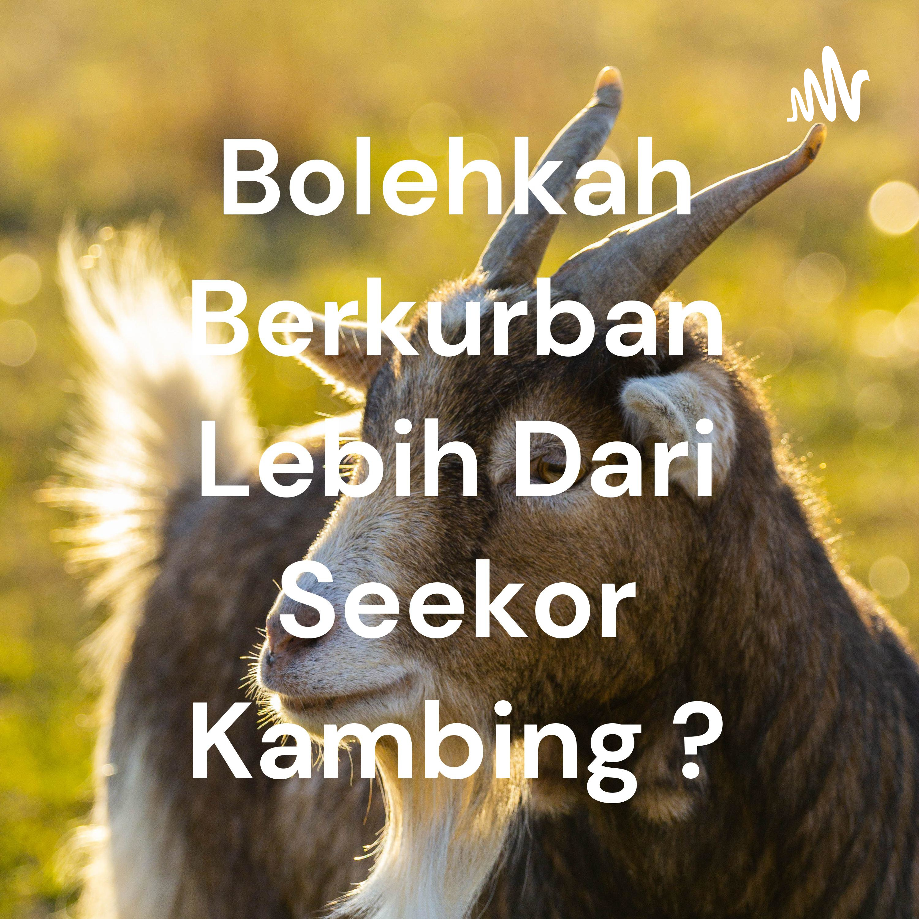 Bolehkah Berkurban Lebih Dari Seekor Kambing ?