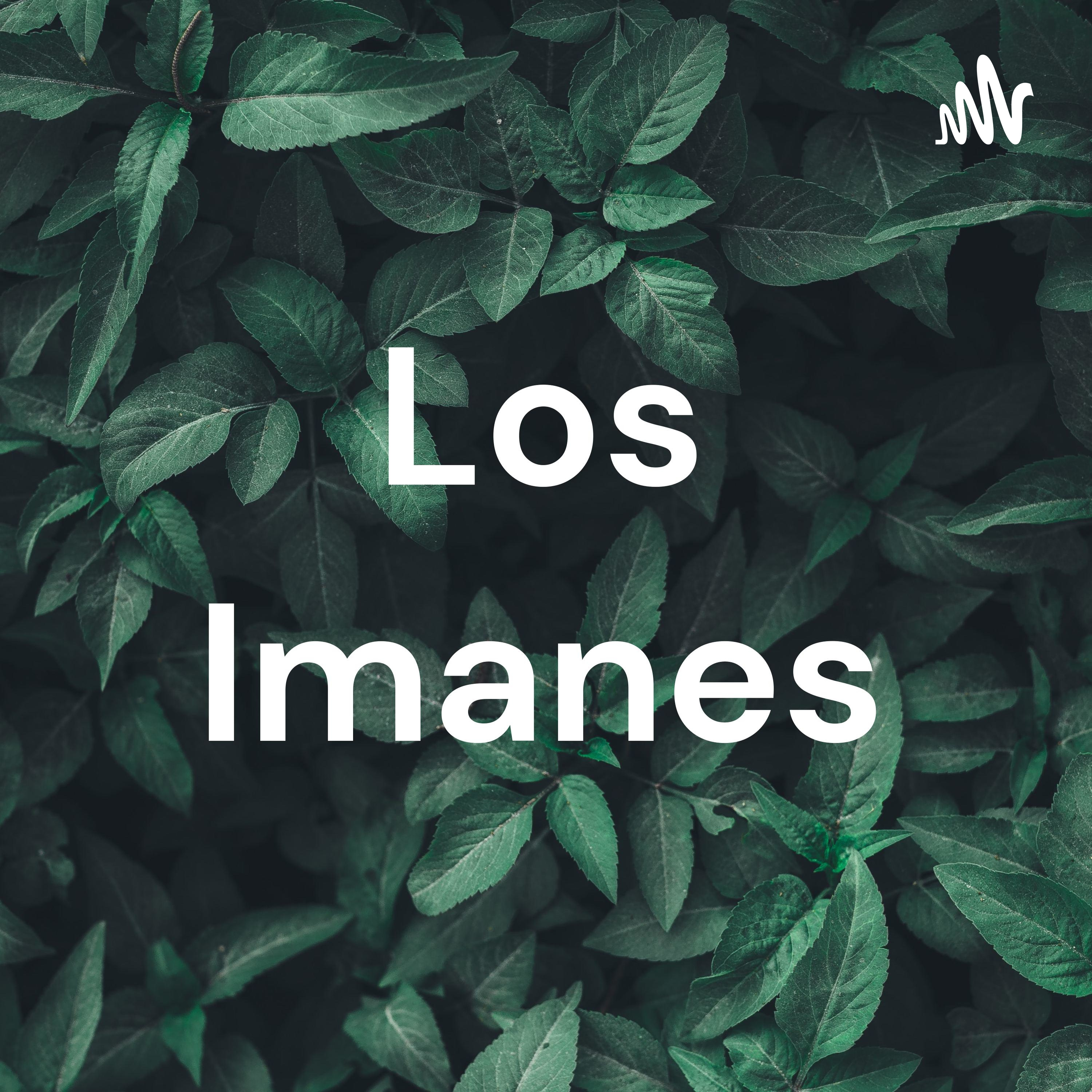 Los Imanes