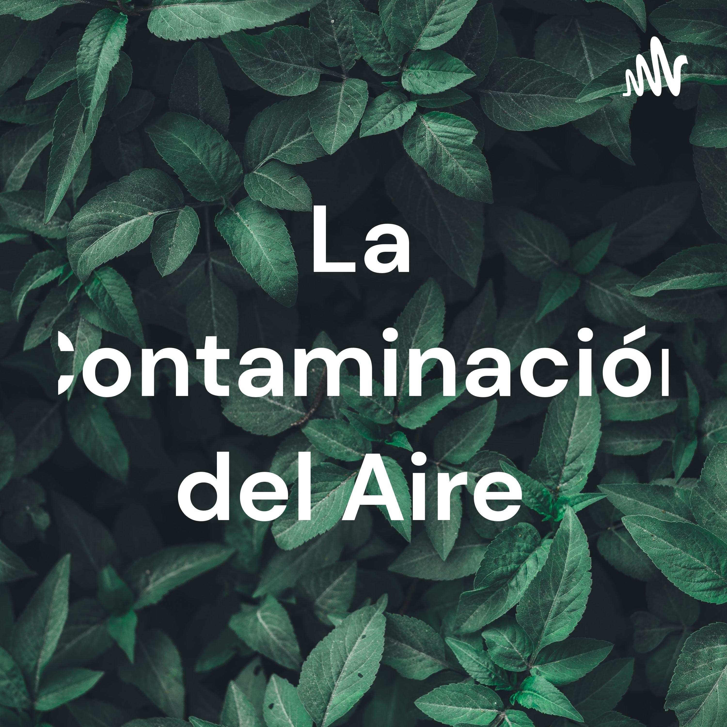 La Contaminación del Aire 