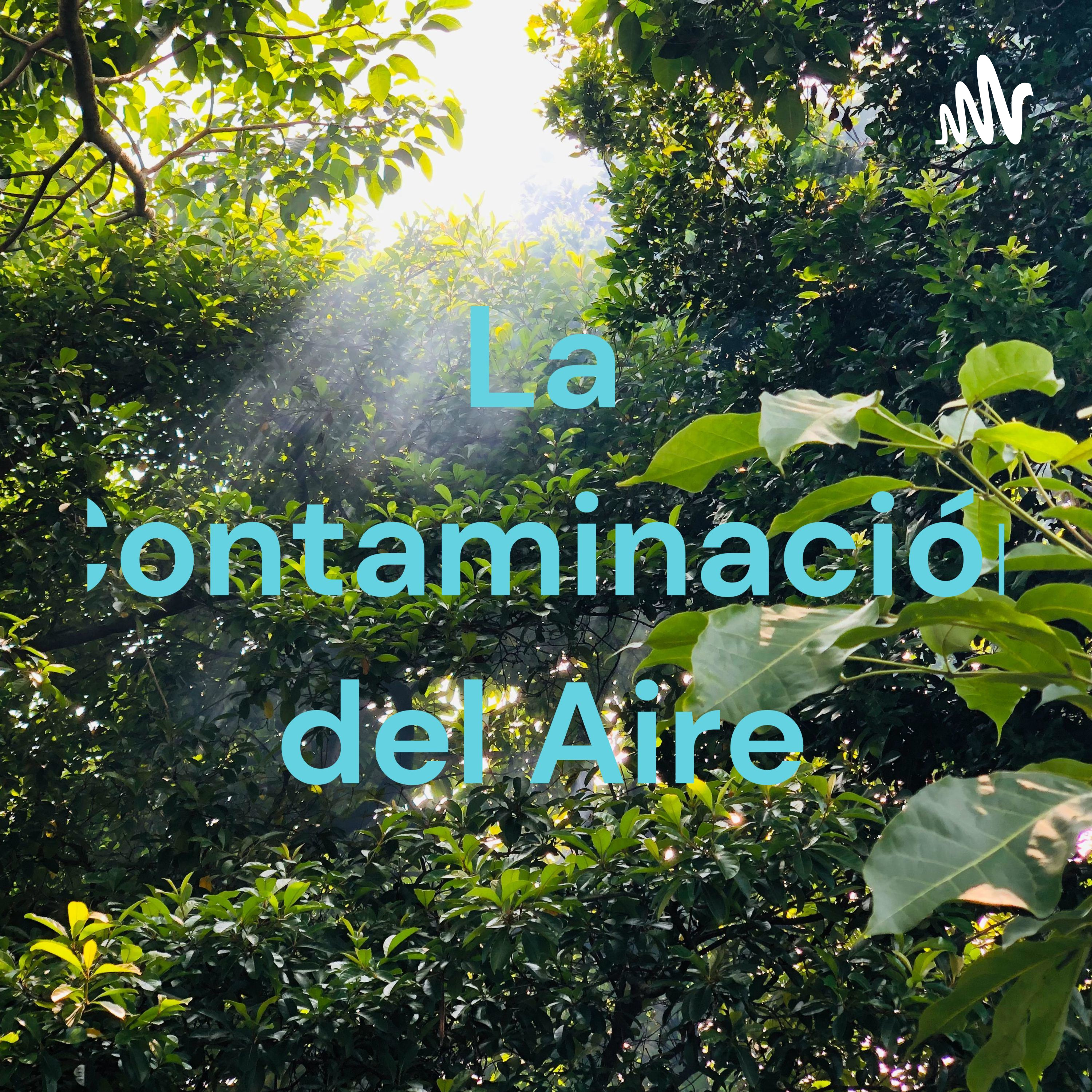 La Contaminación del Aire