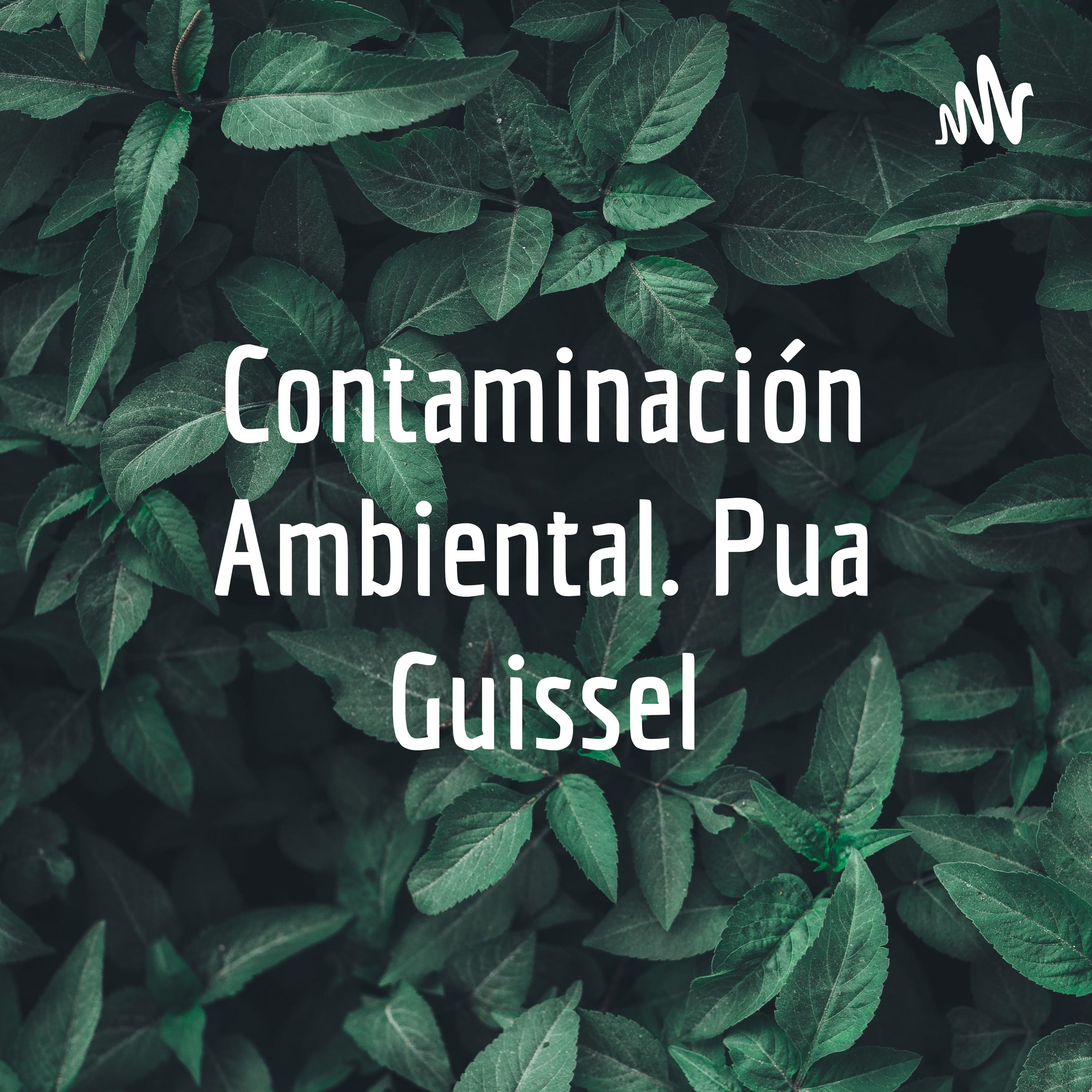 Contaminación Ambiental. Pua Guissel