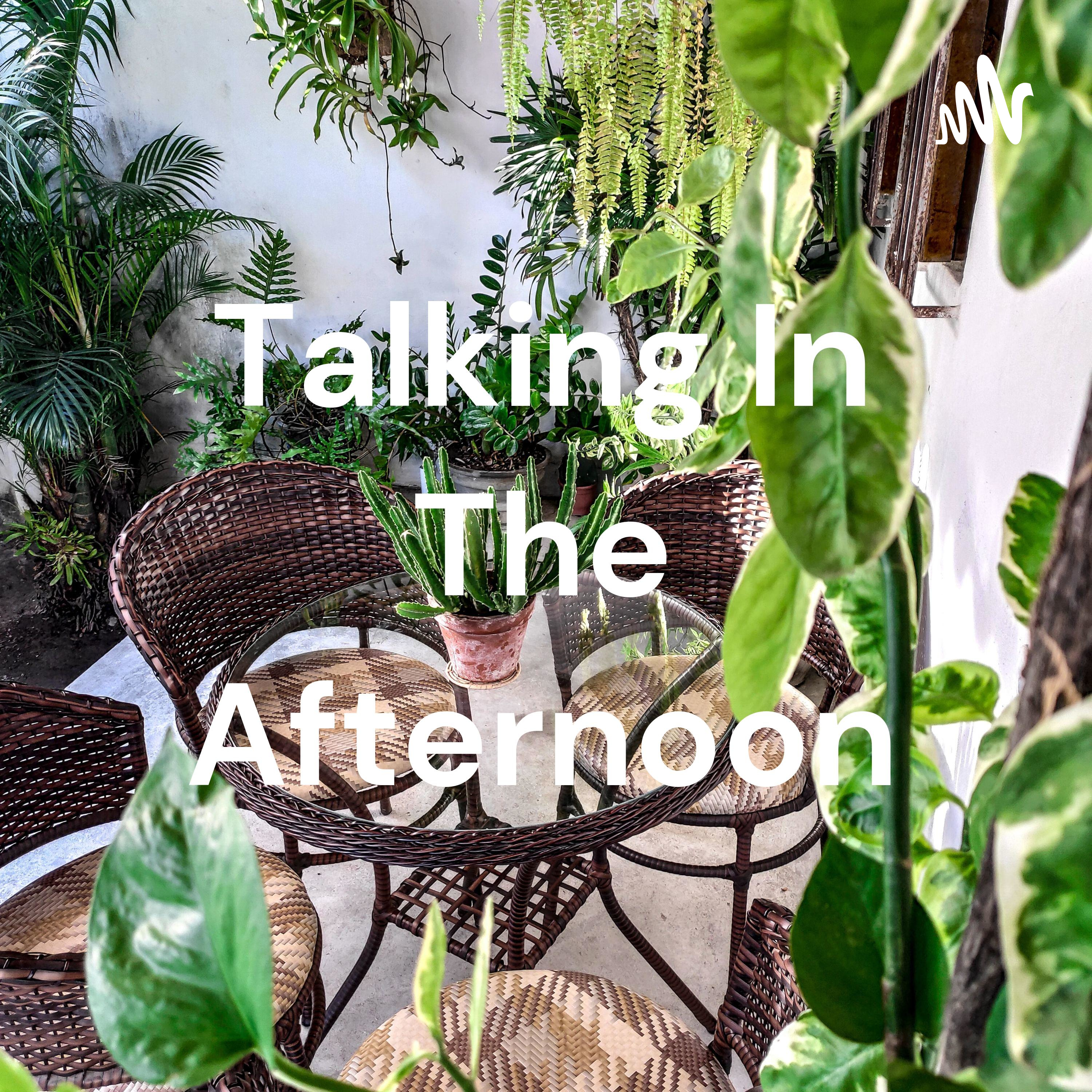 Talking In The Afternoon