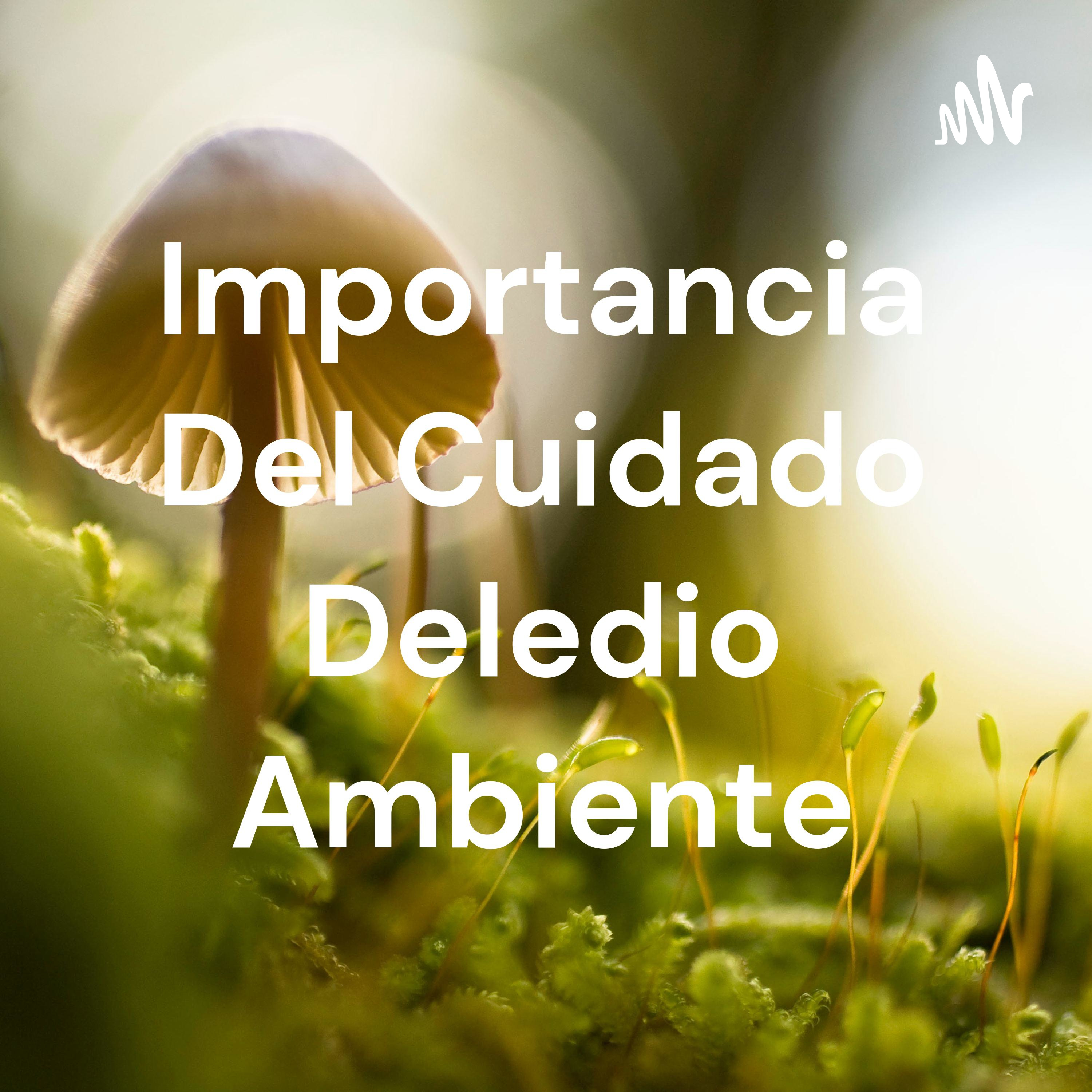 Importancia Del Cuidado Deledio Ambiente