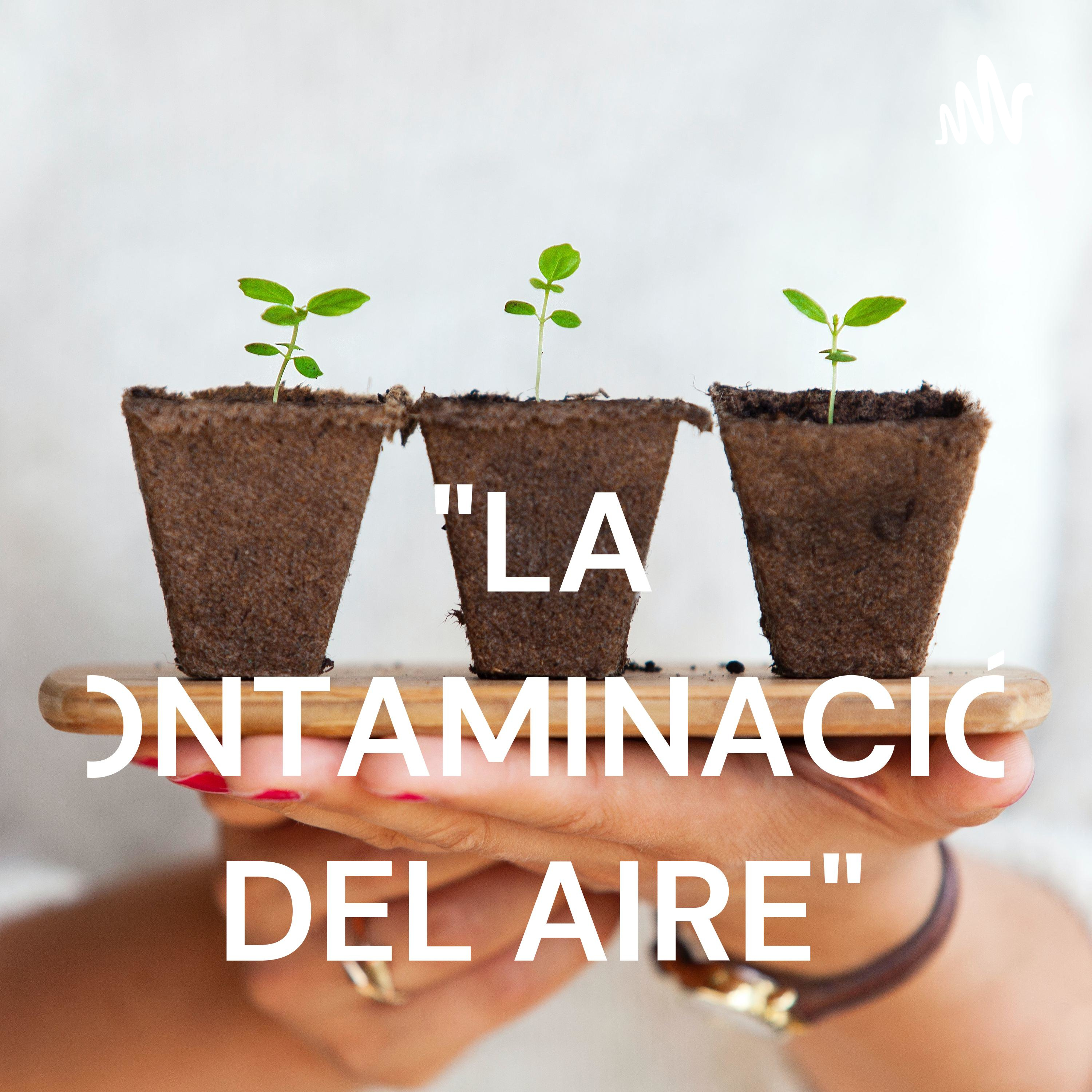 "LA CONTAMINACIÓN DEL AIRE"