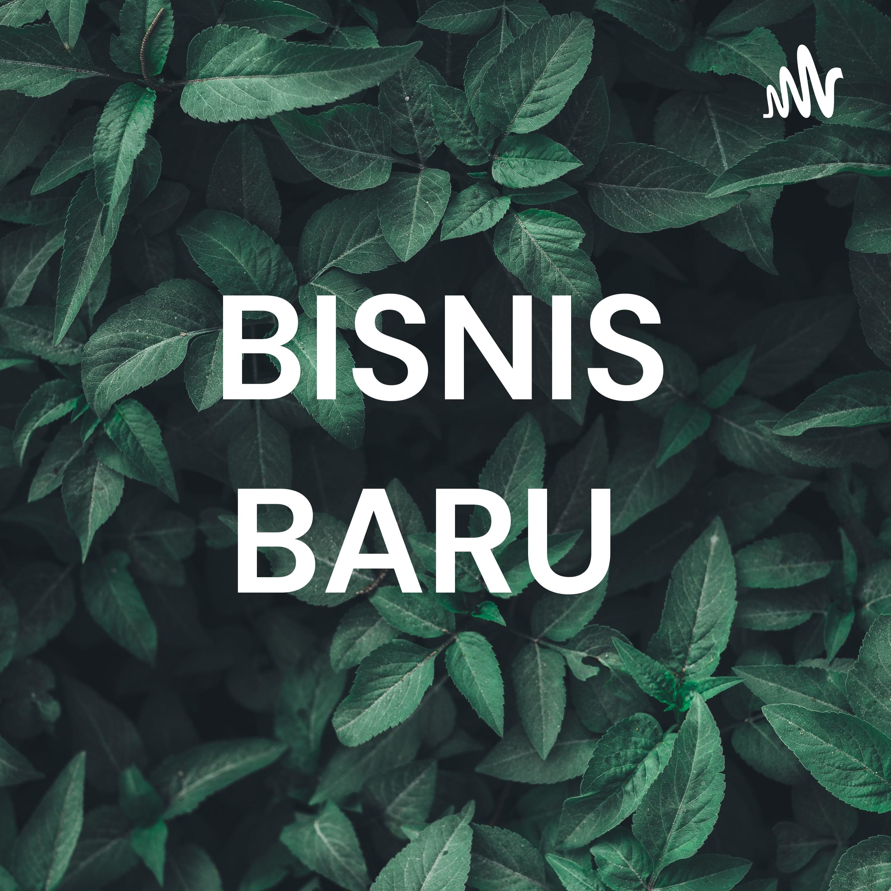BISNIS BARU