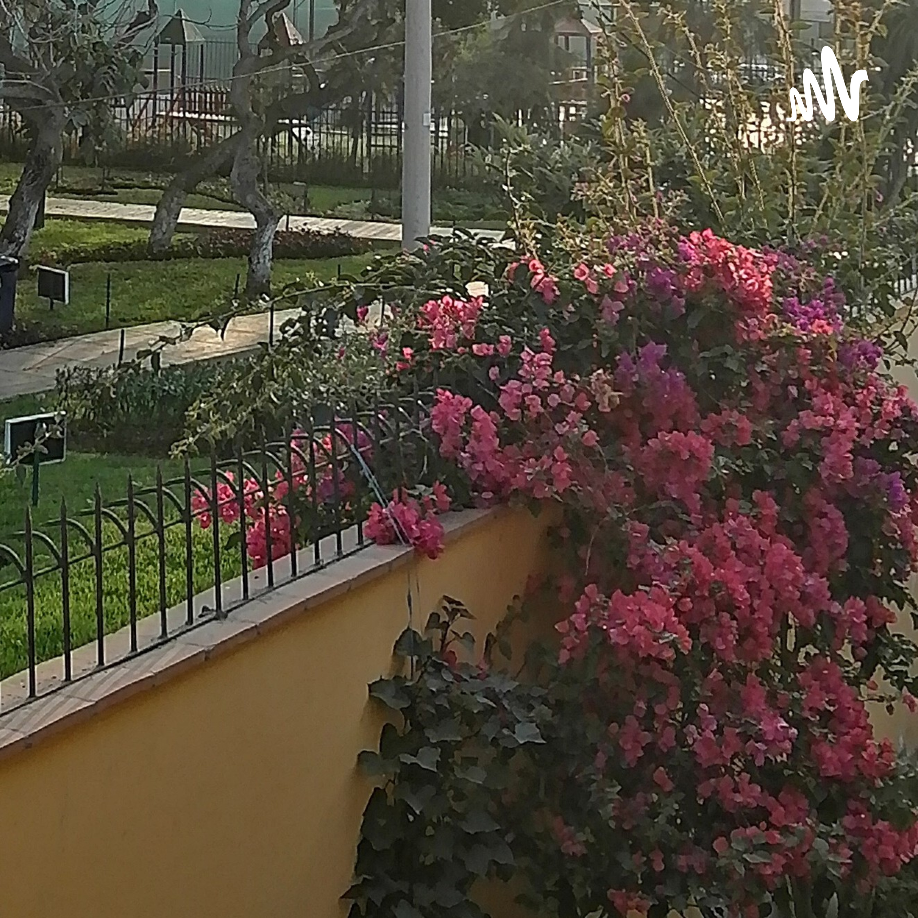 La Contaminación Del Aire