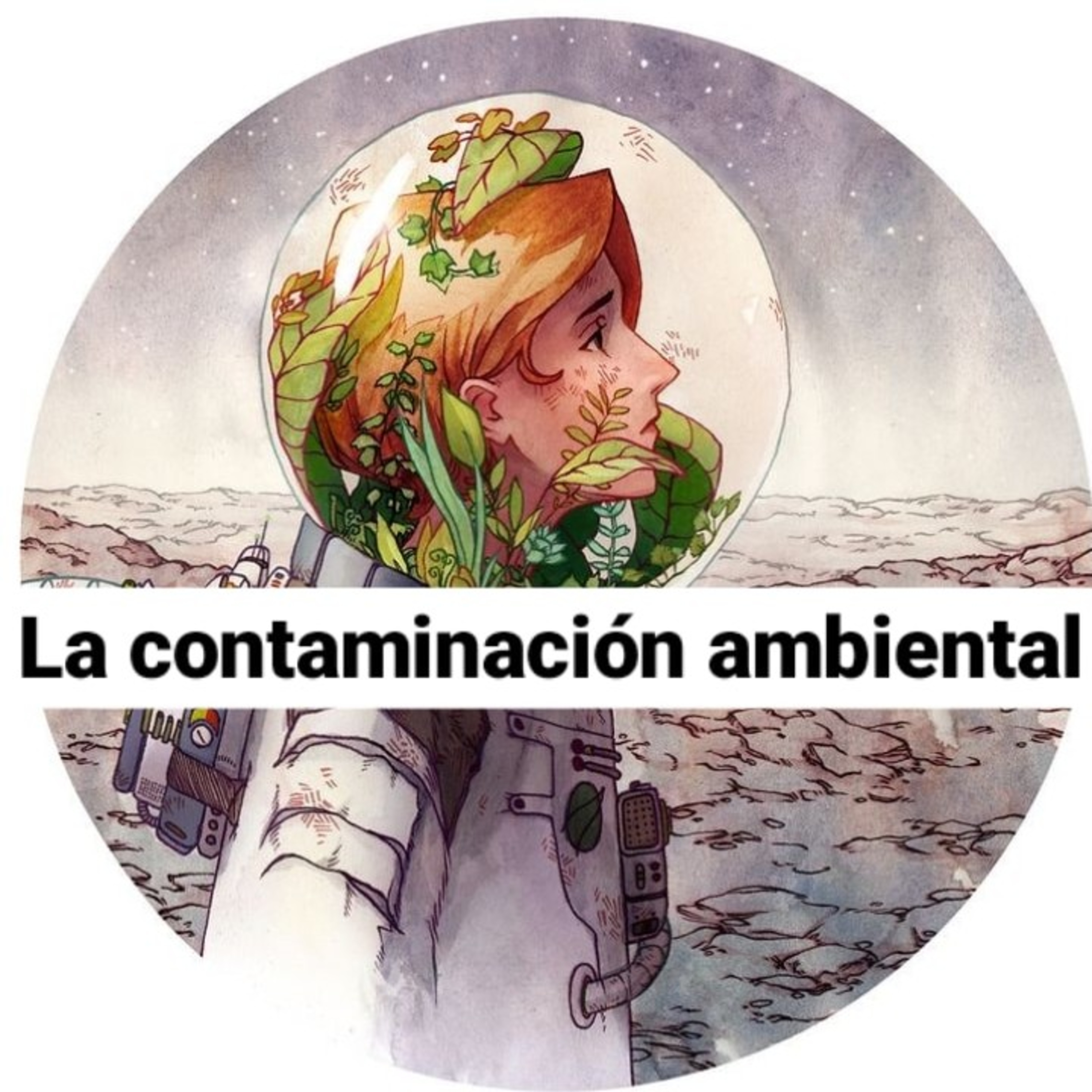 La contaminación ambiental. dayana medina