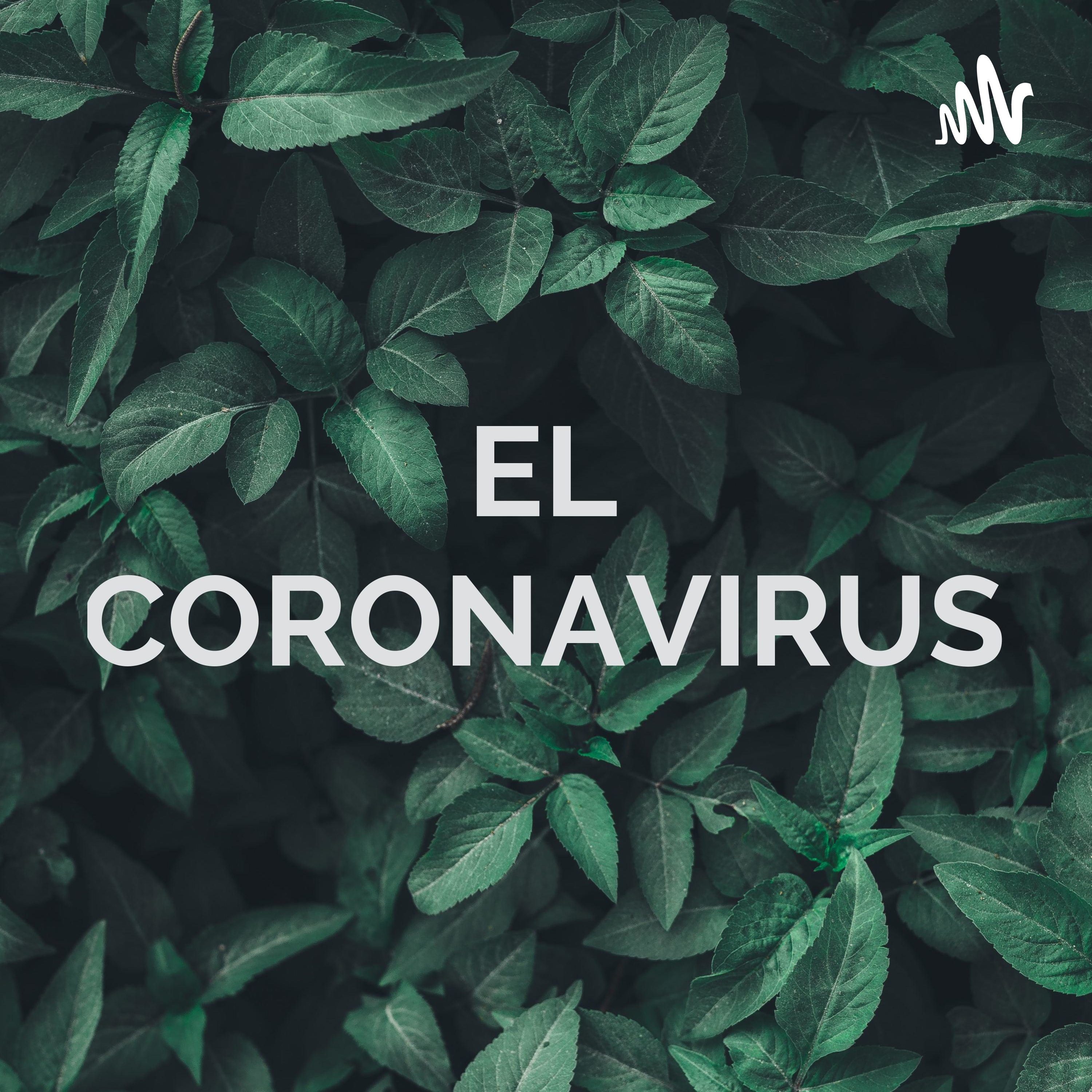 EL CORONAVIRUS: UN RESPIRO PARA EL MEDIO AMBIENTE