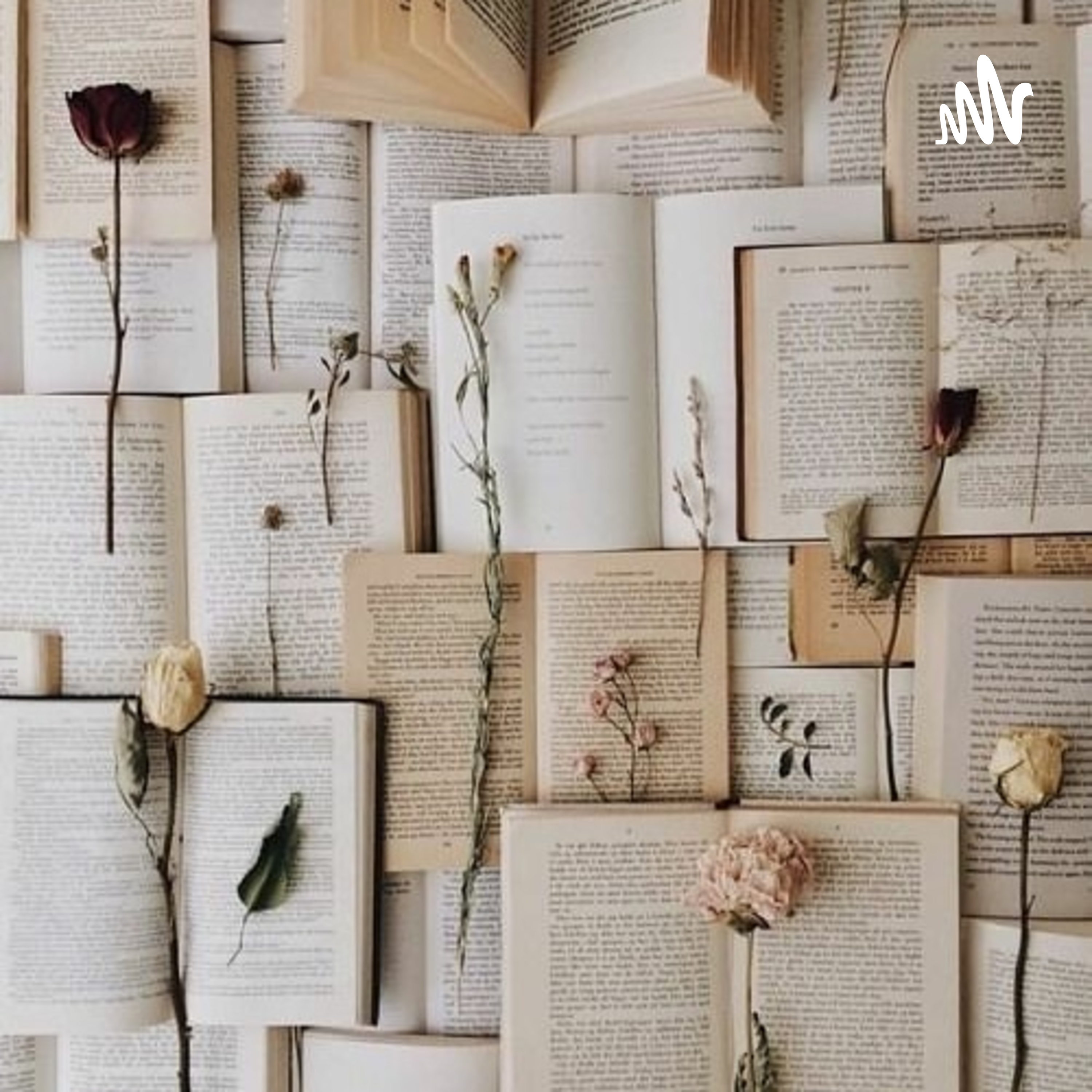 Conozcamonos Por Libros